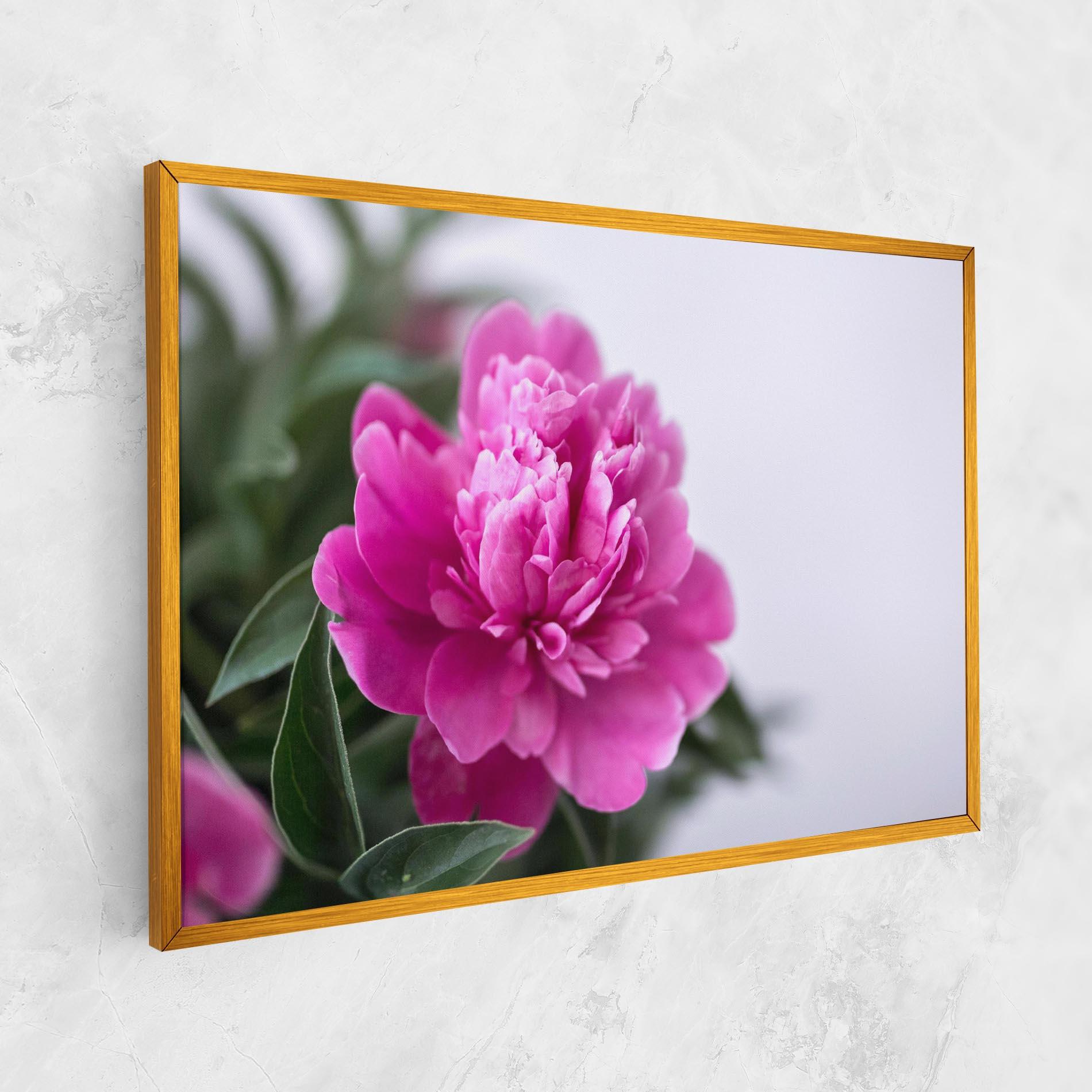 Leinwandbild Dark Pink Peony mockup 1