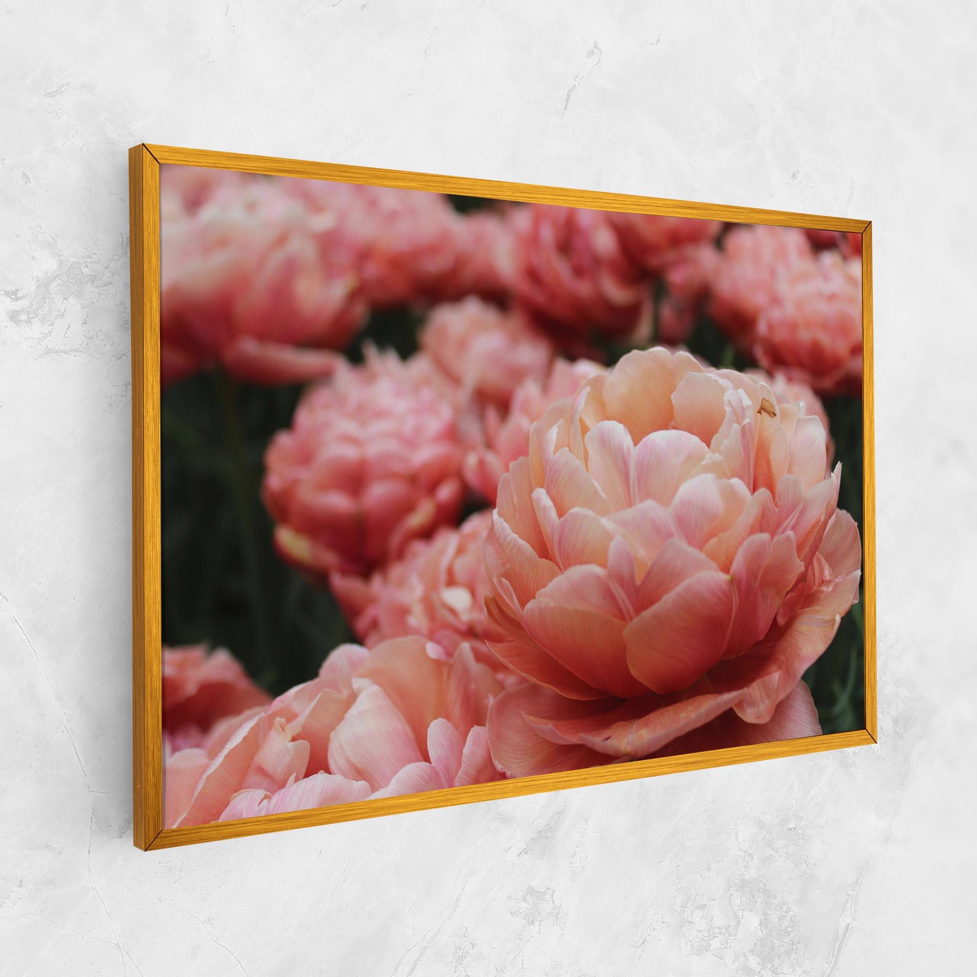Leinwandbild Light Orange Peony mockup 1