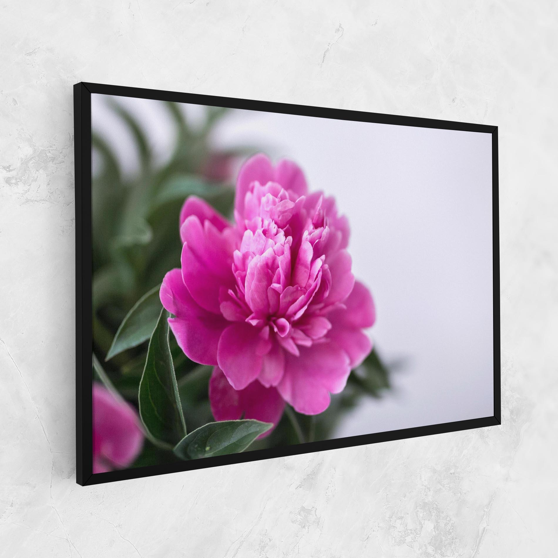Leinwandbild Dark Pink Peony mockup 1