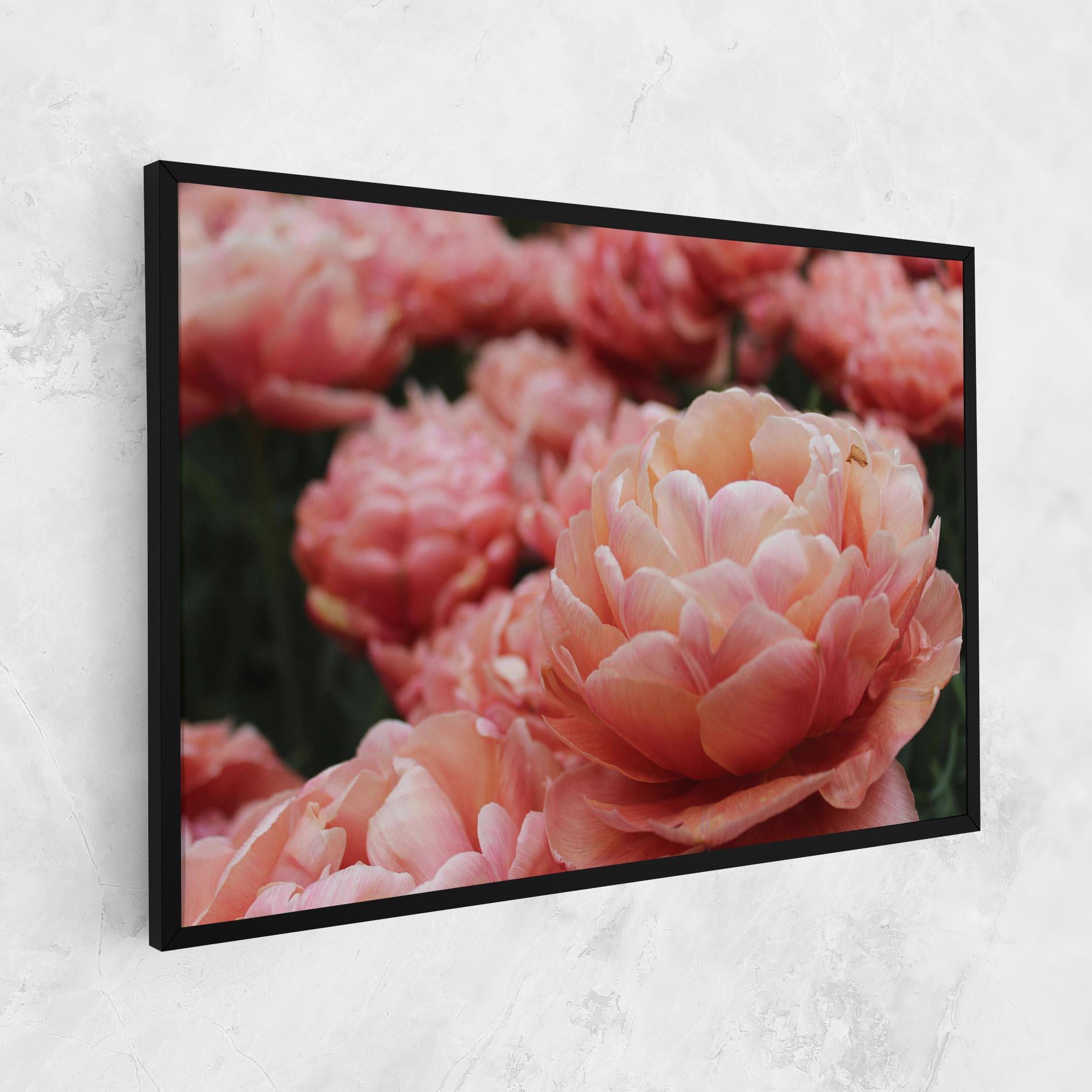 Leinwandbild Light Orange Peony mockup 1