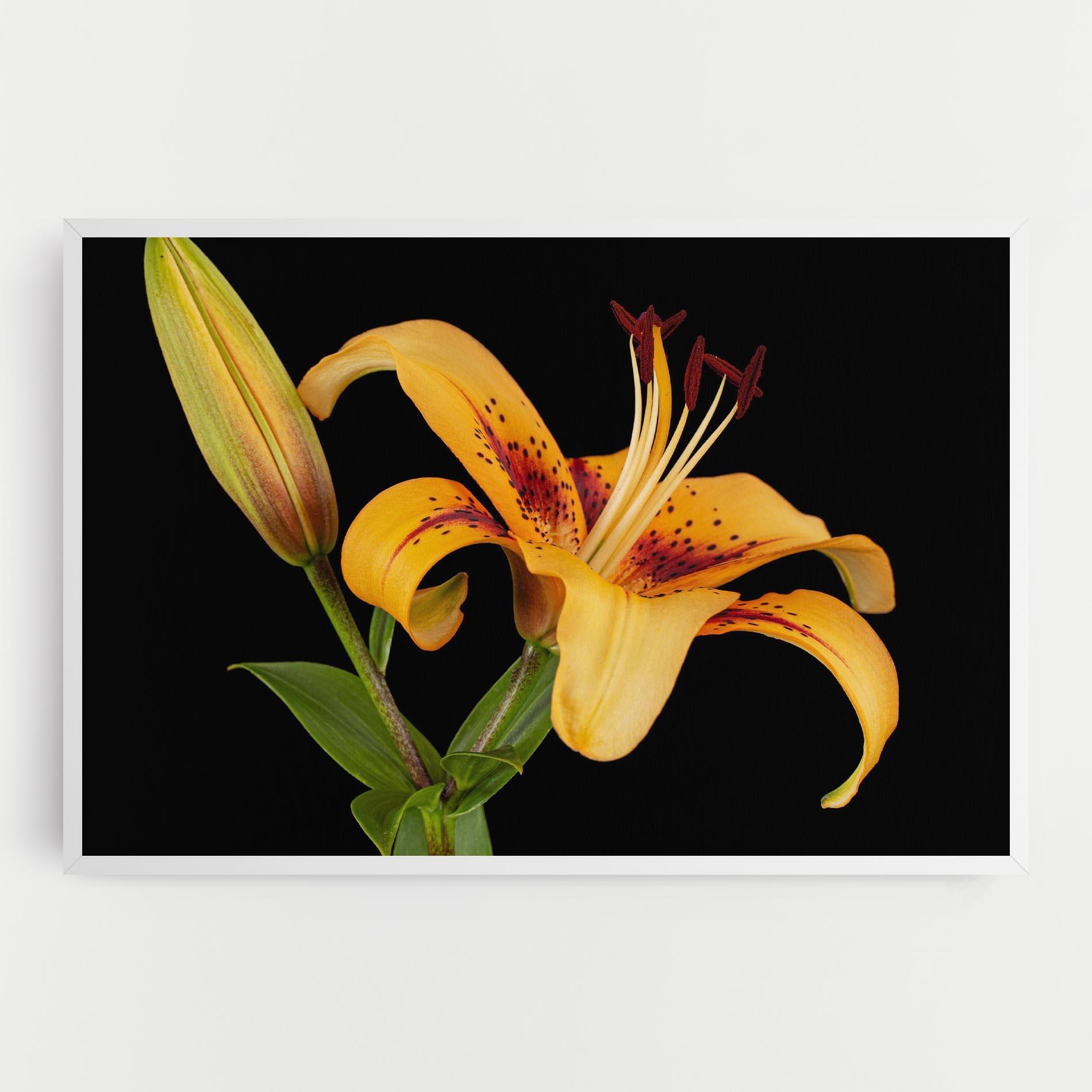 Leinwandbild Beautiful Yellow Lily mockup 0