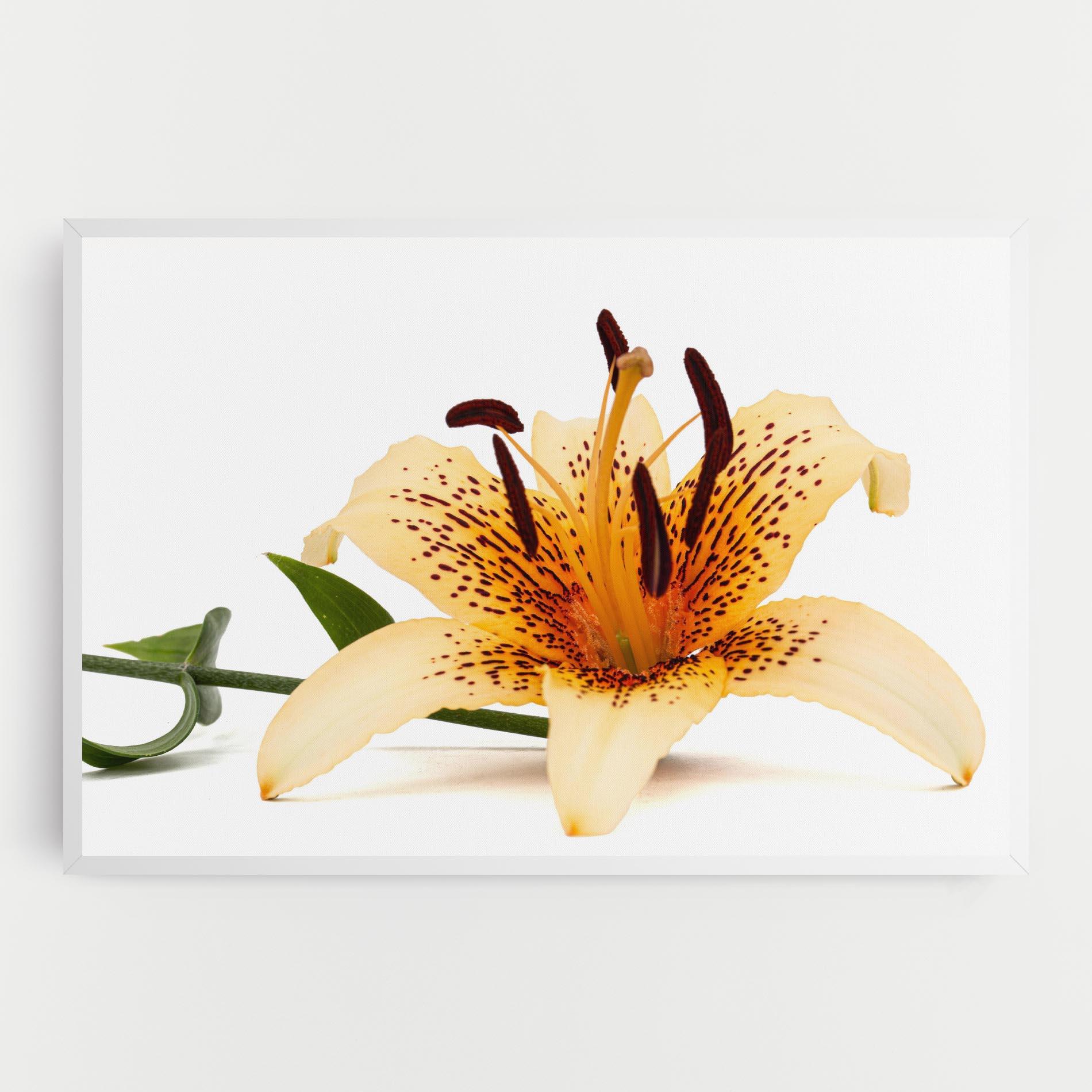 Leinwandbild Big Yellow Lily mockup 0
