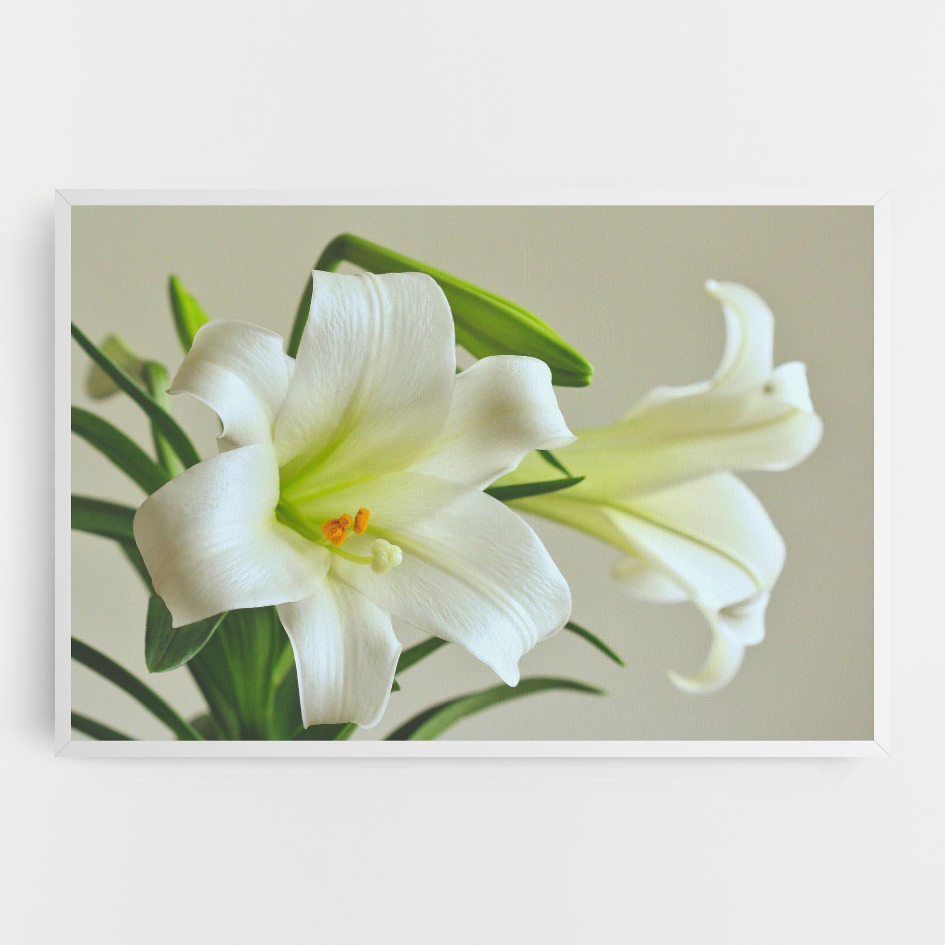 Leinwandbild Green Lily mockup 0