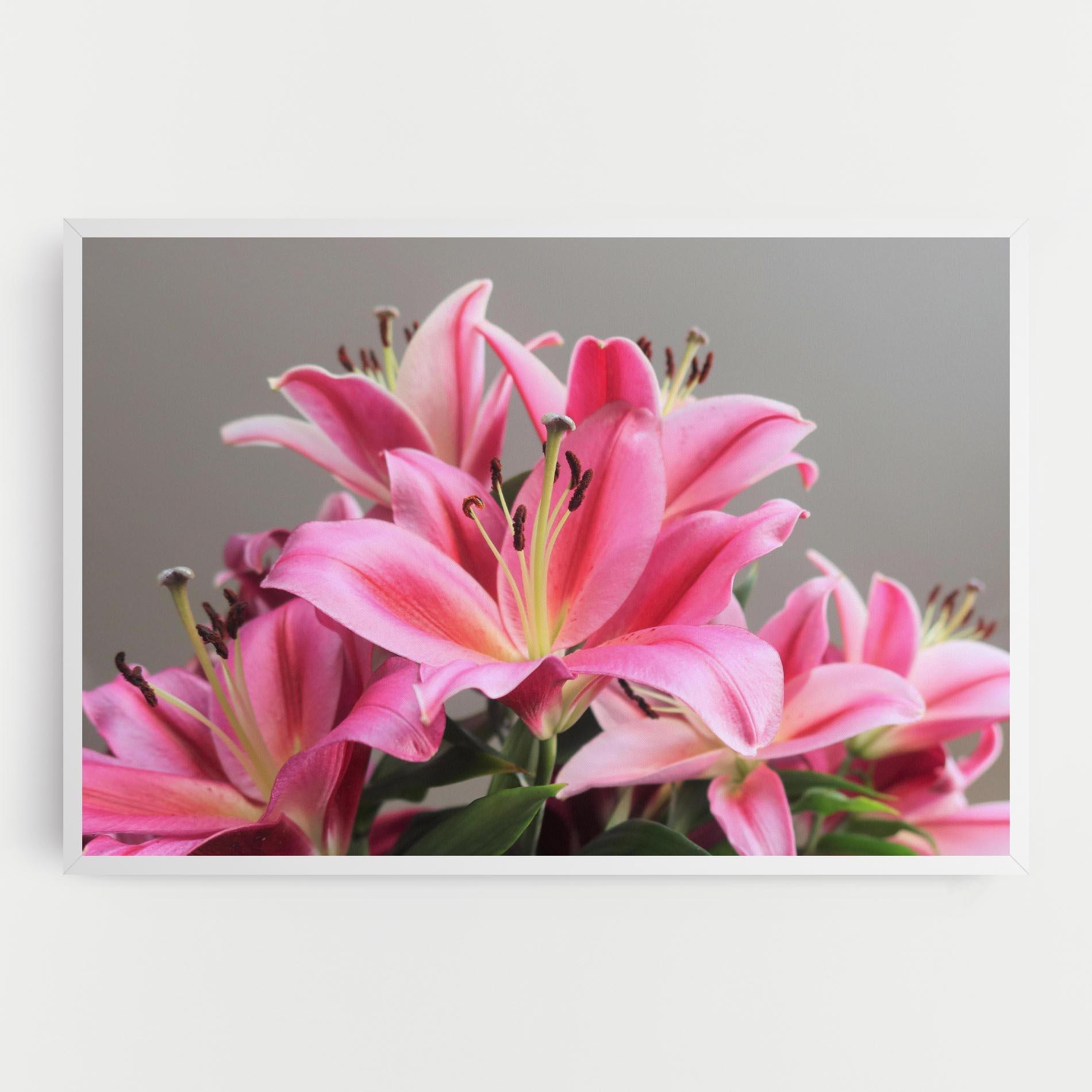 Leinwandbild Light Pink Lily View mockup 0