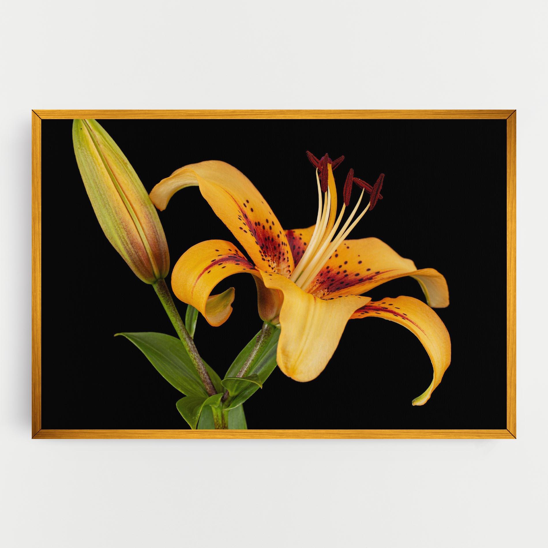 Leinwandbild Beautiful Yellow Lily mockup 0