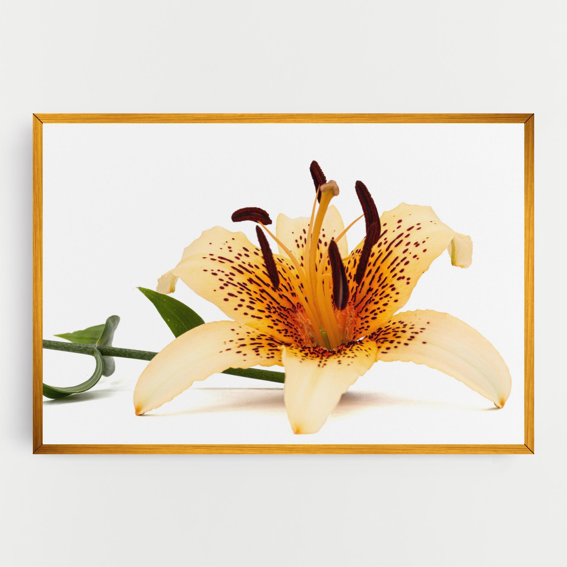 Leinwandbild Big Yellow Lily mockup 0