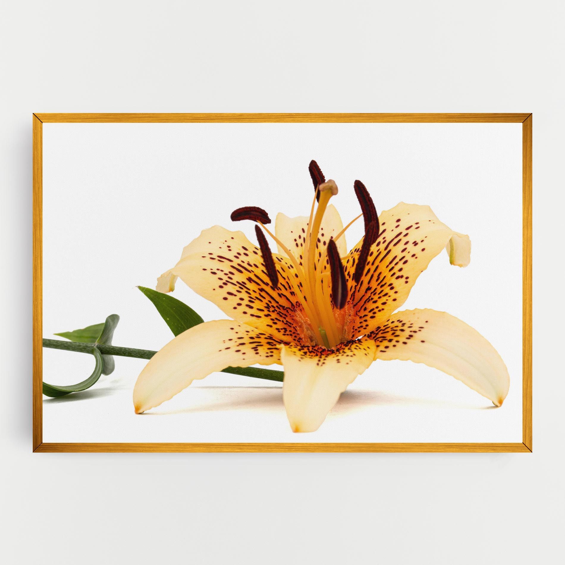 Big Yellow Lily mockup 0