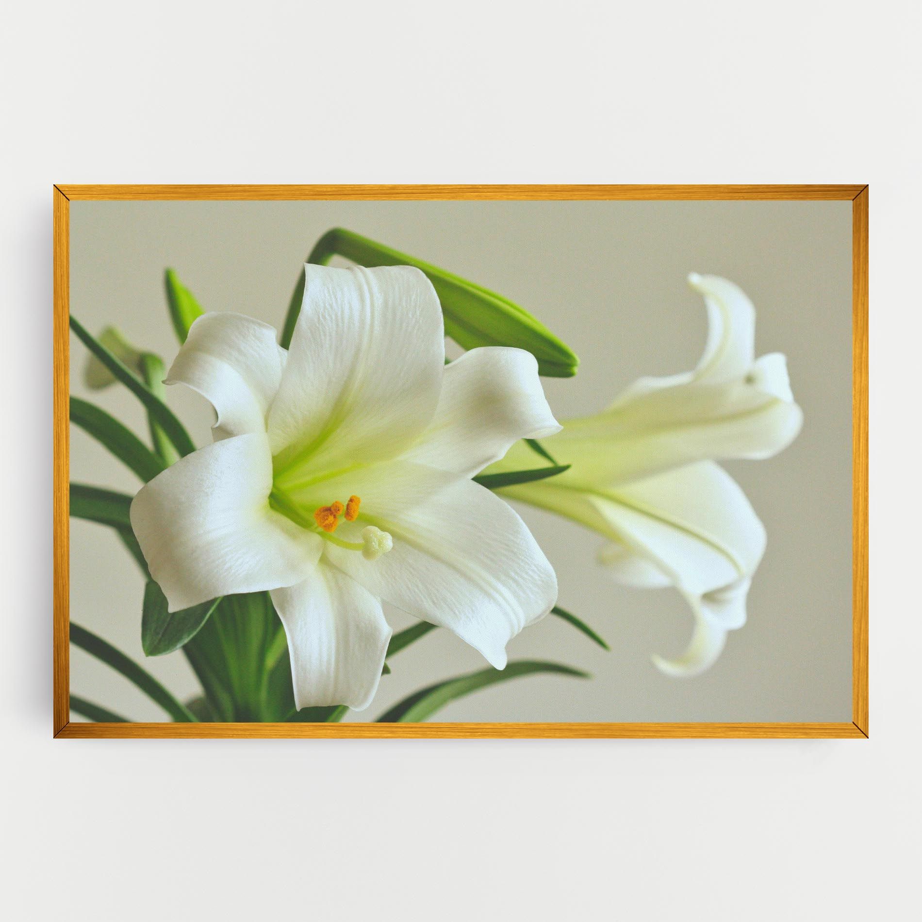 Green Lily mockup 0