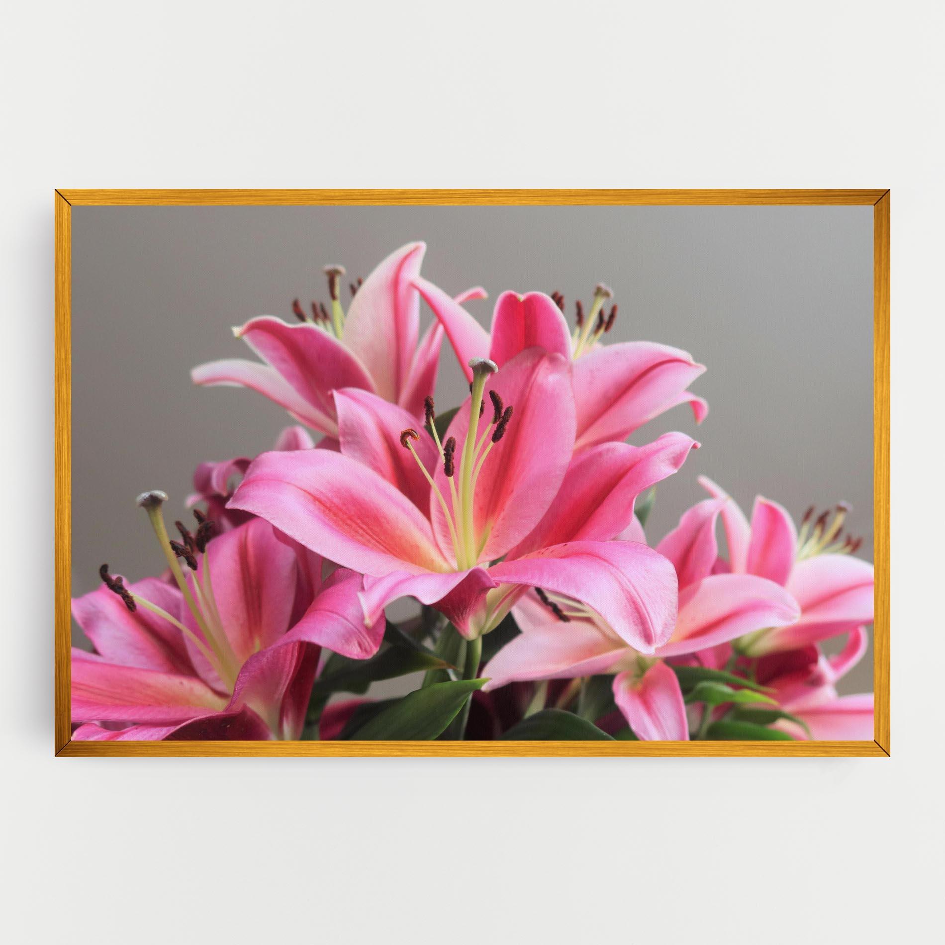 Leinwandbild Light Pink Lily View mockup 0