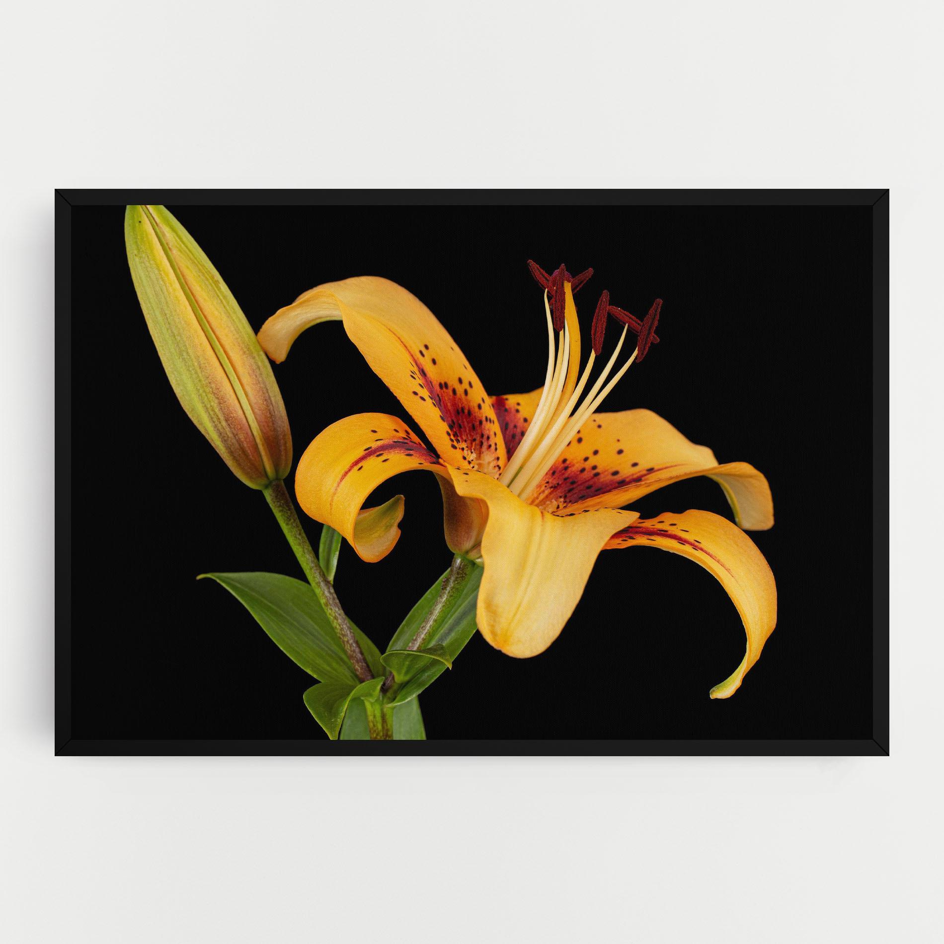 Leinwandbild Beautiful Yellow Lily mockup 0