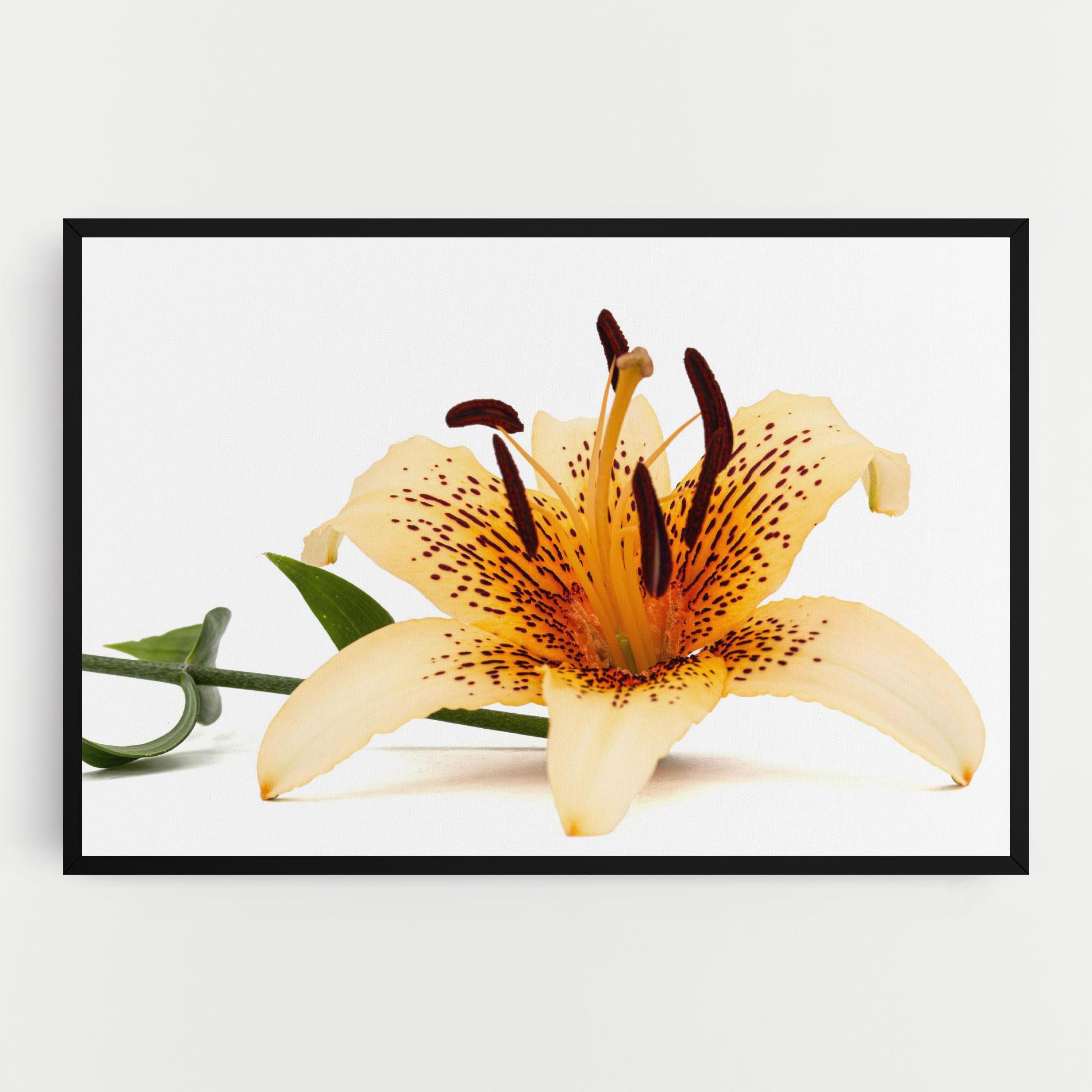 Leinwandbild Big Yellow Lily mockup 0