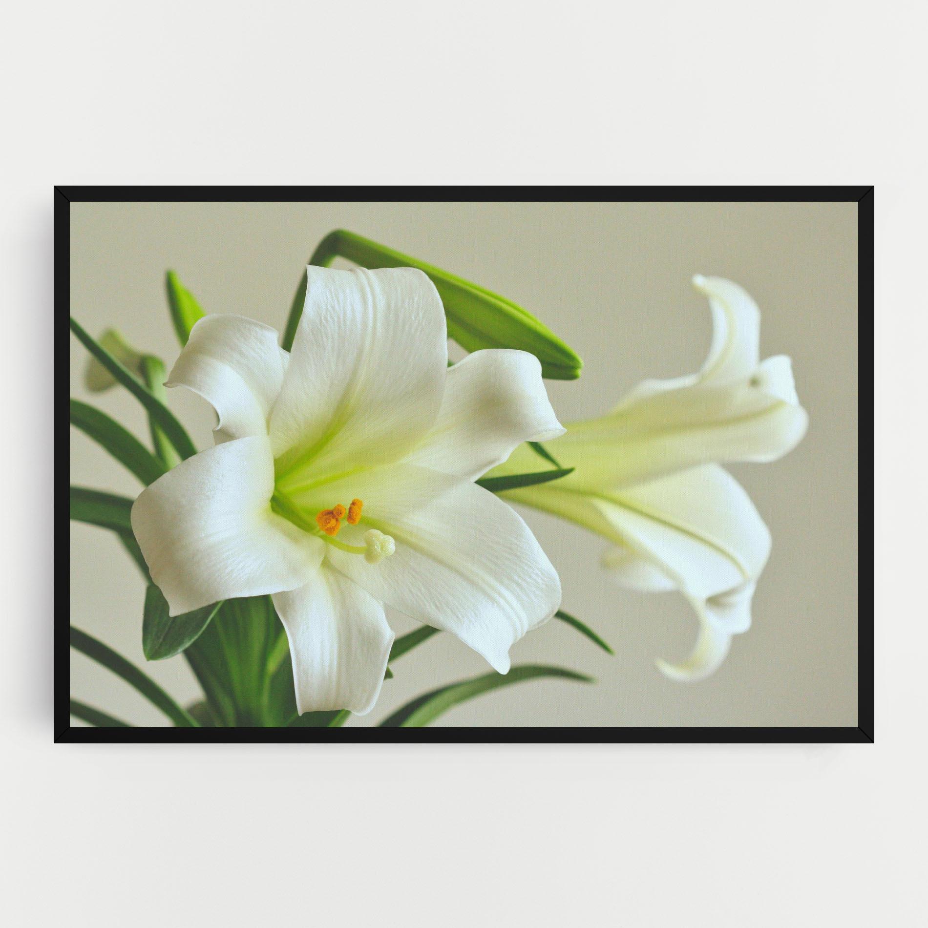 Leinwandbild Green Lily mockup 0