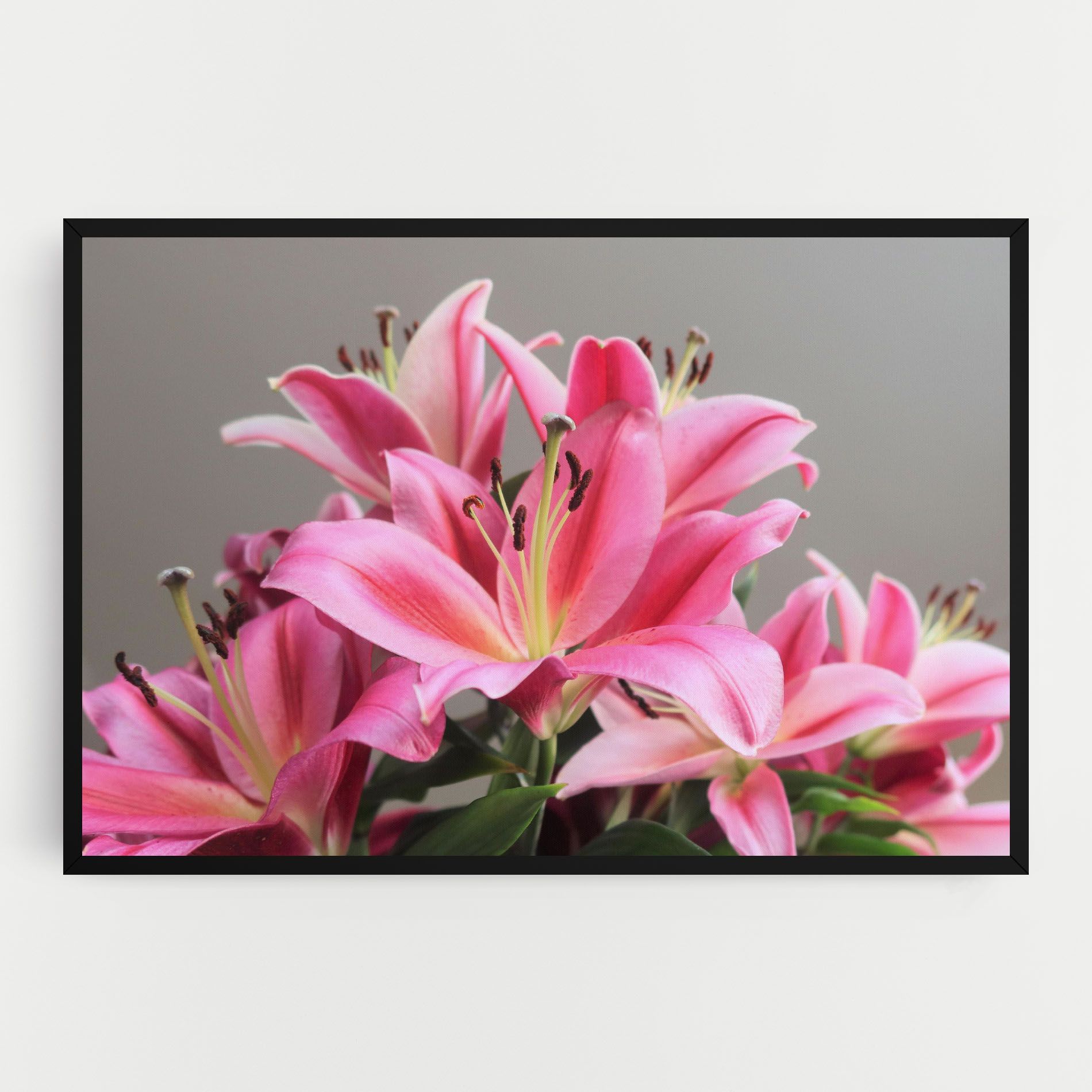 Light Pink Lily View mockup 0