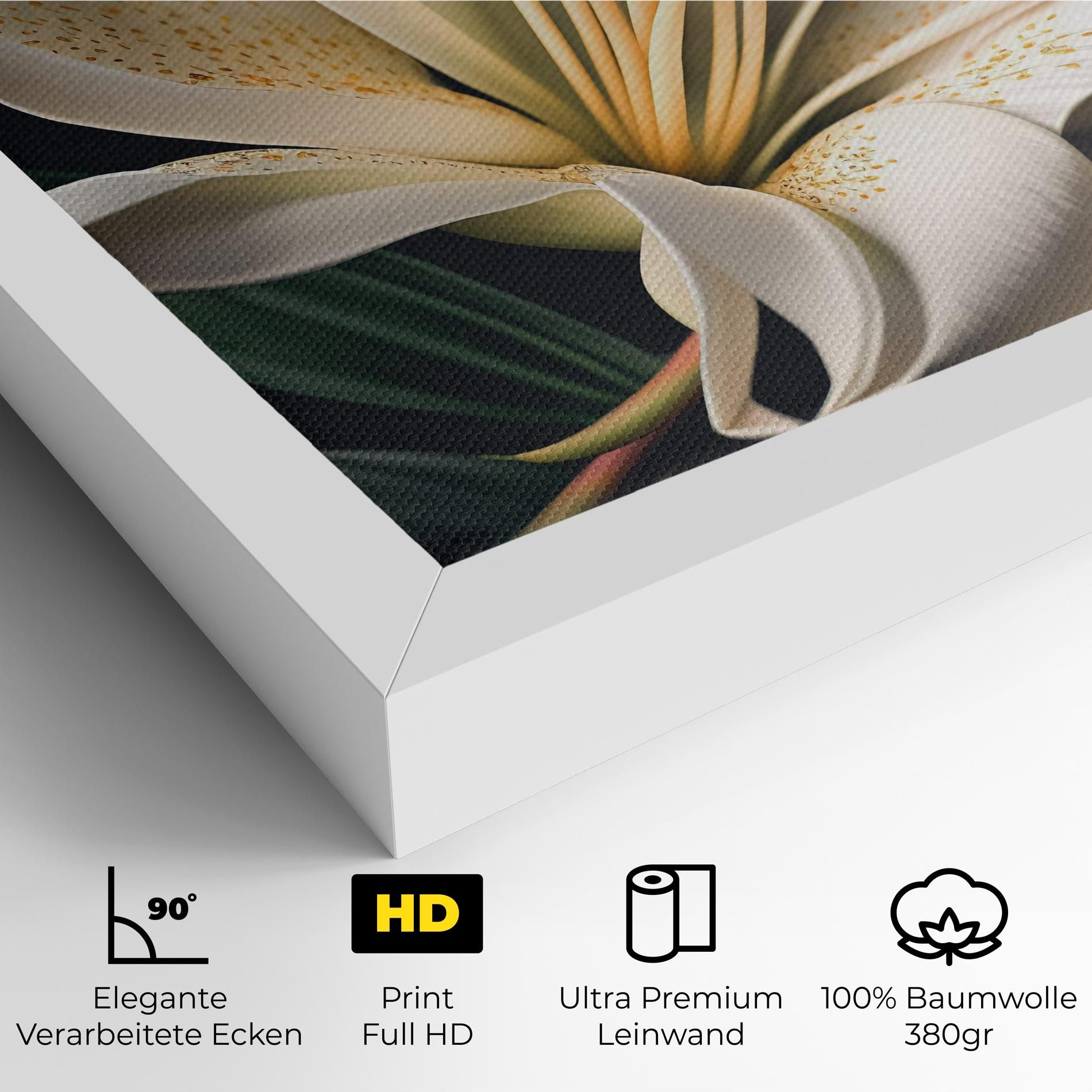 Big Lily View mockup 4