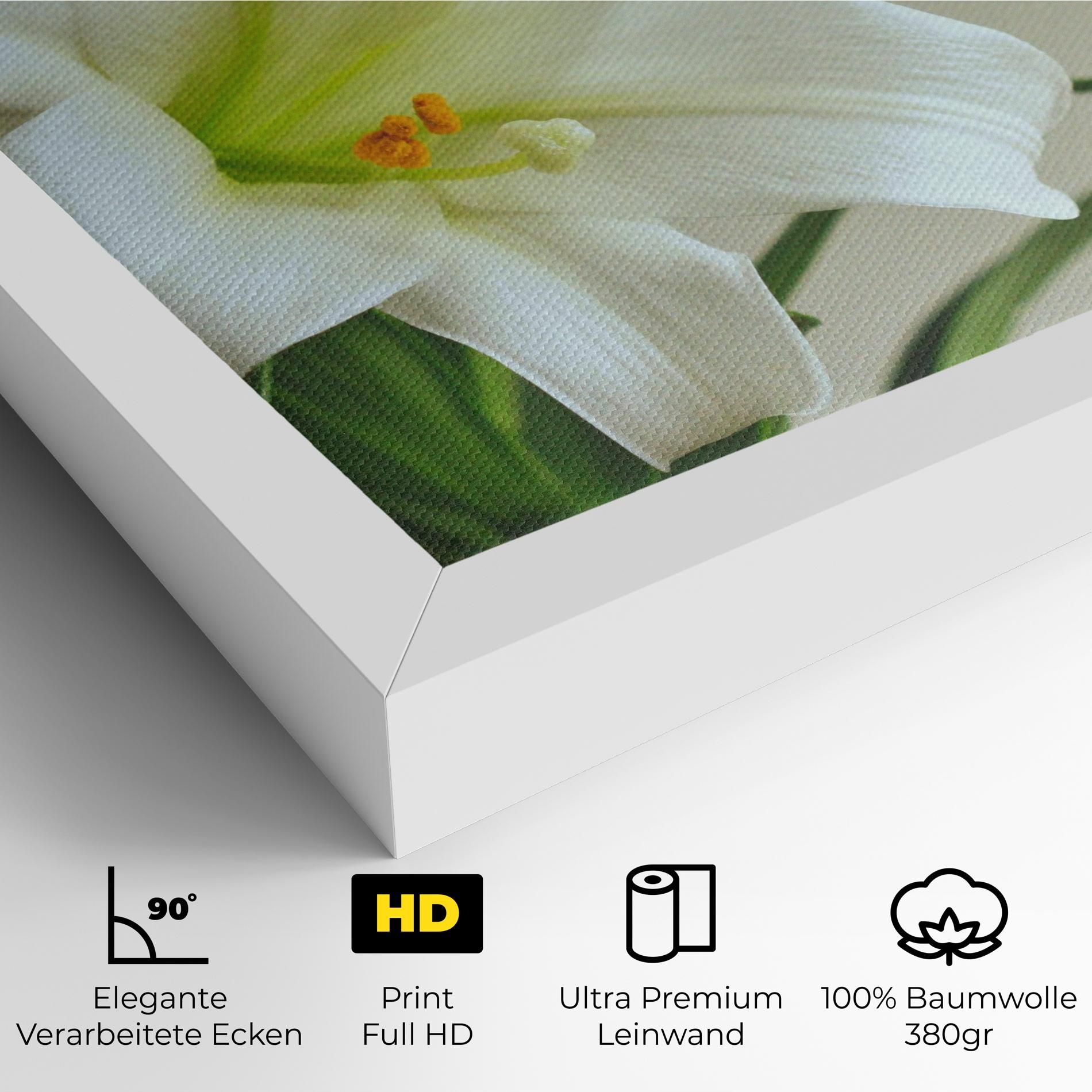 Green Lily mockup 4