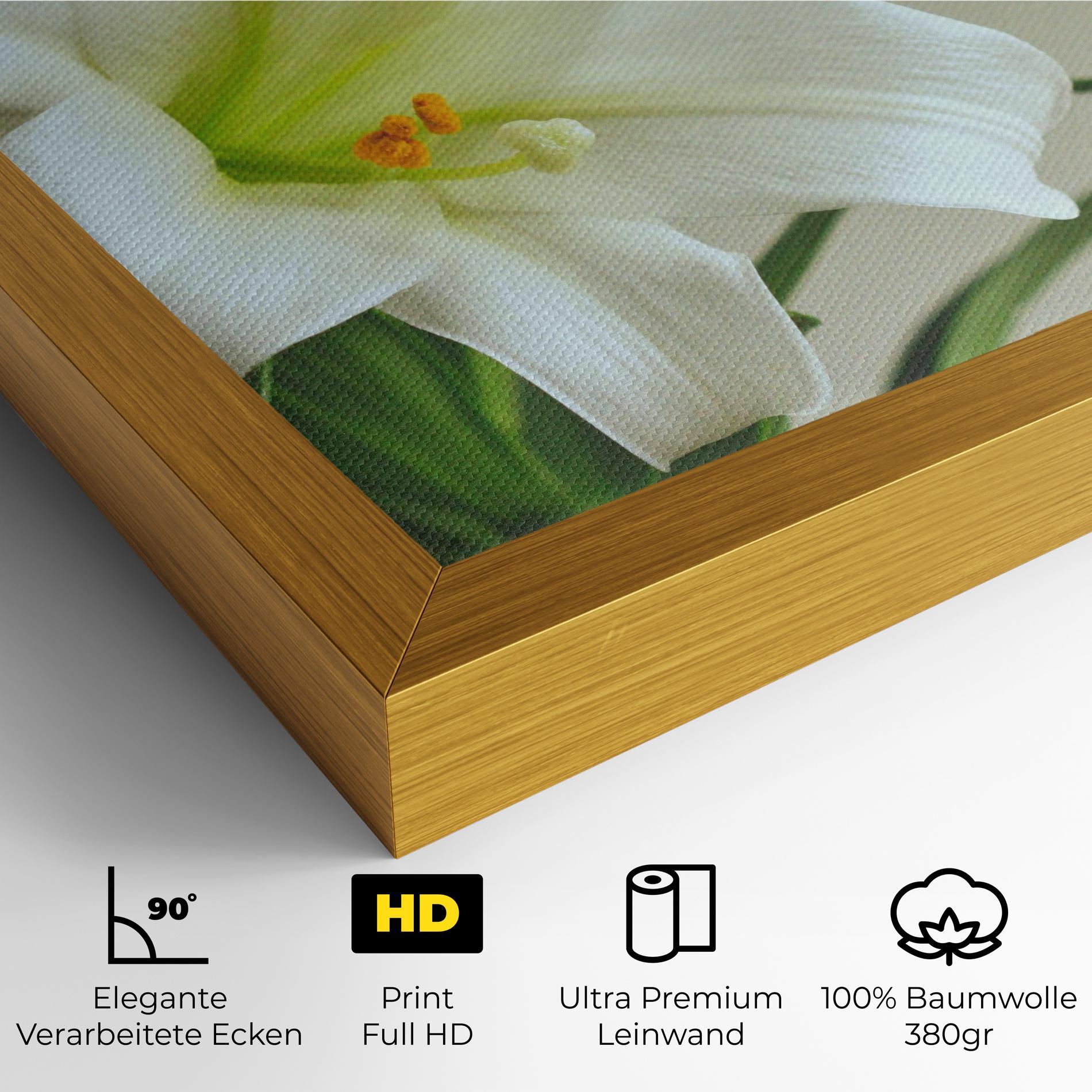 Leinwandbild Green Lily mockup 4