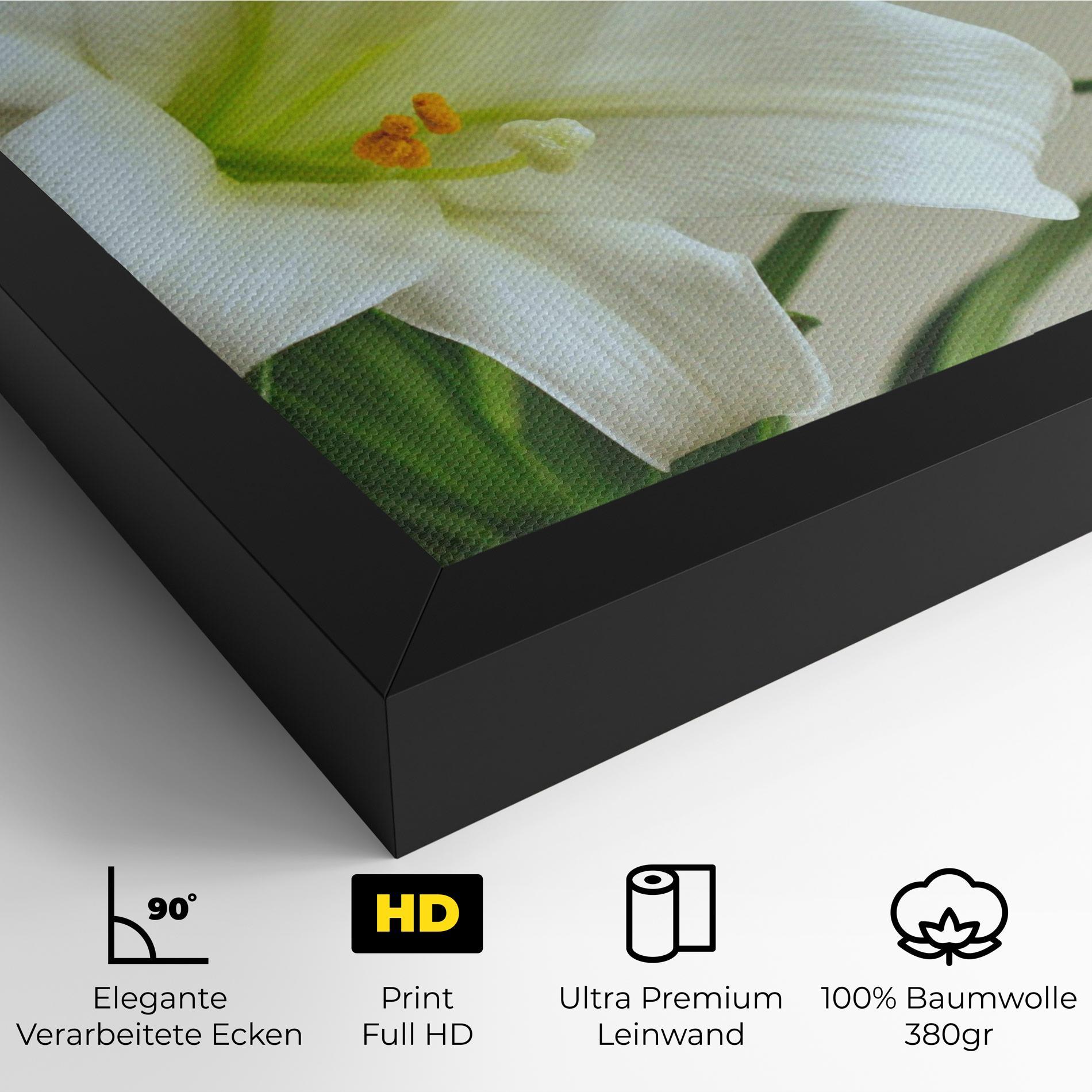 Leinwandbild Green Lily mockup 4