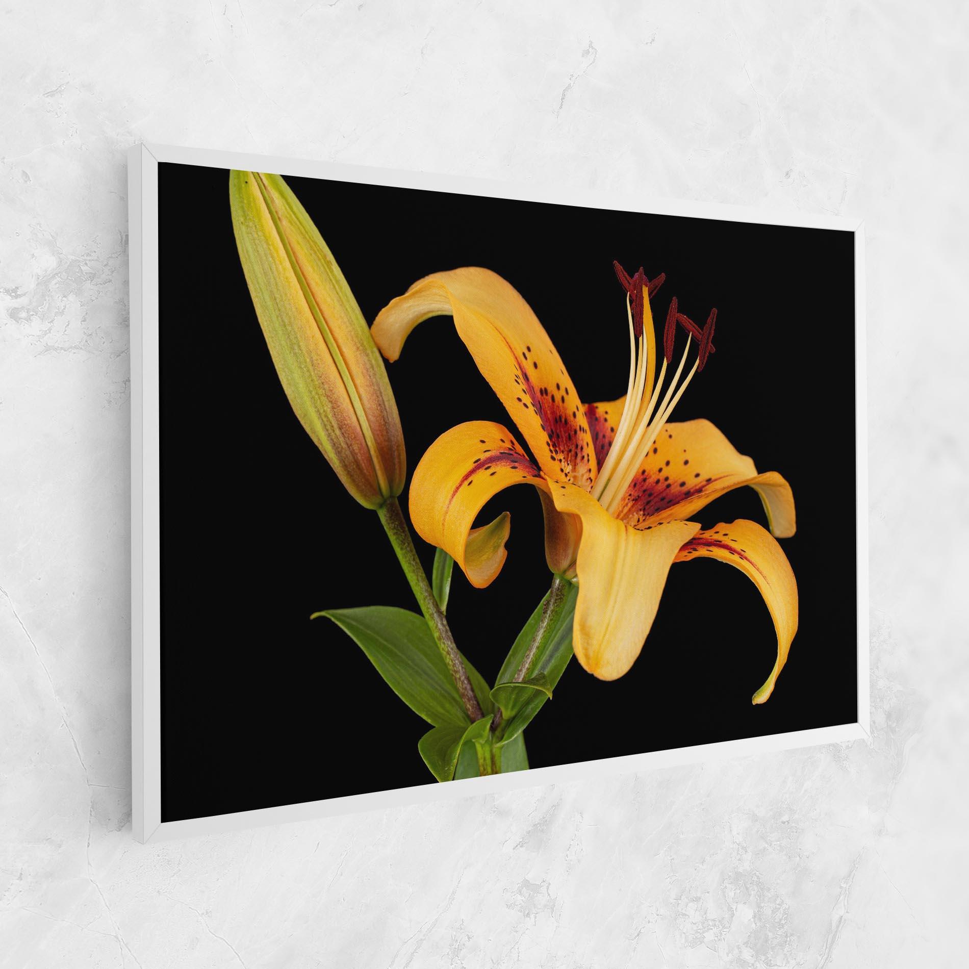 Leinwandbild Beautiful Yellow Lily mockup 1