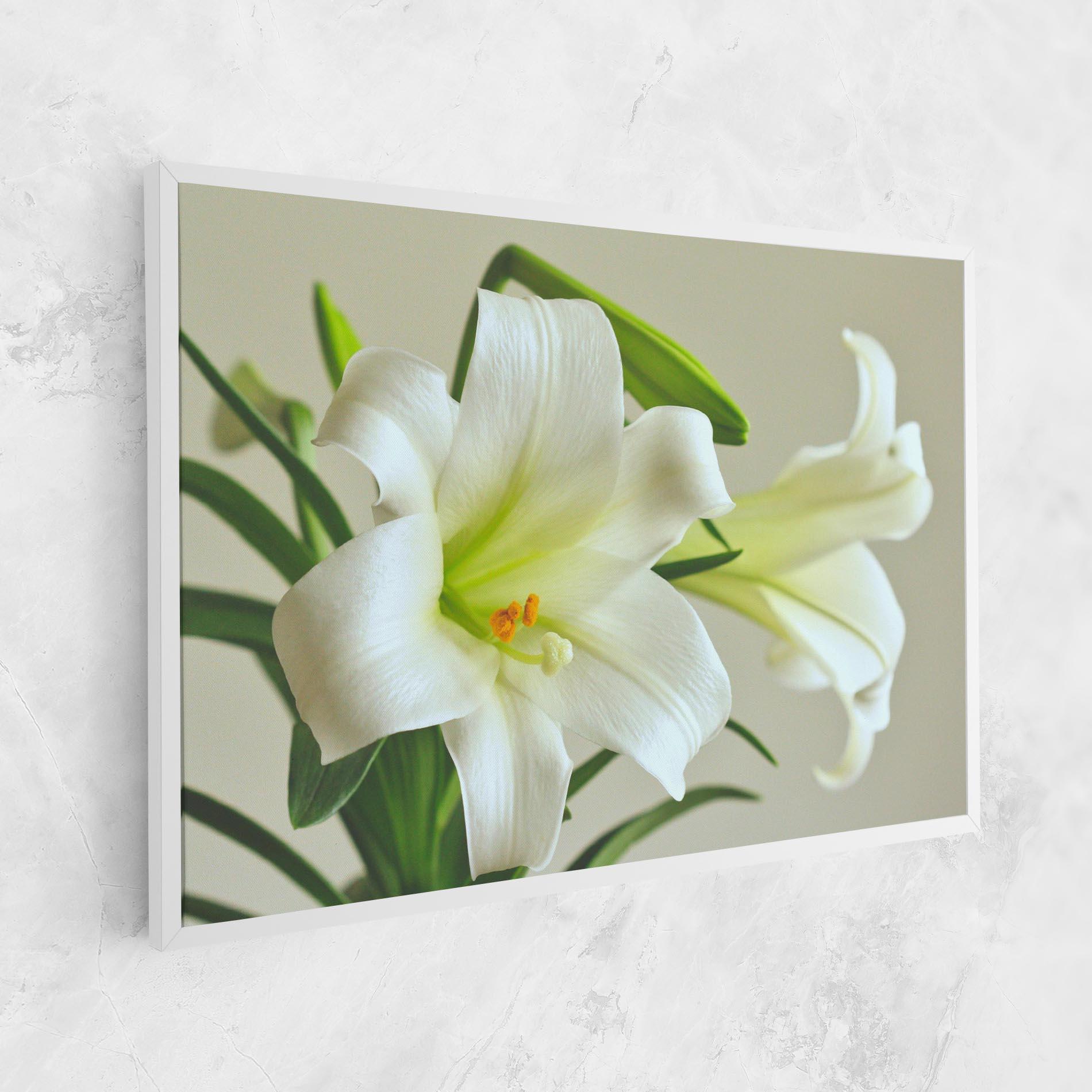 Leinwandbild Green Lily mockup 1