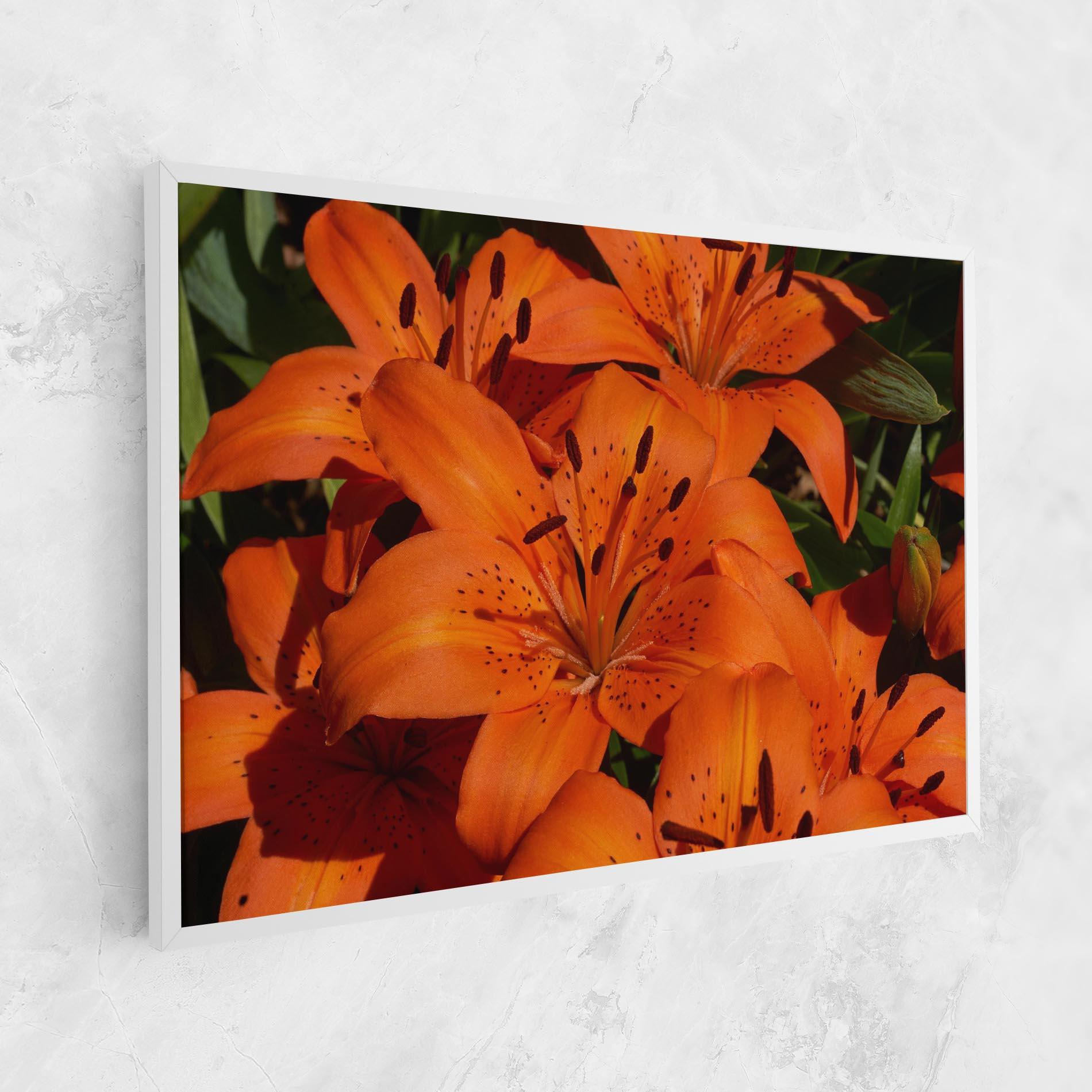 Leinwandbild Orange Lily In The Sun mockup 1