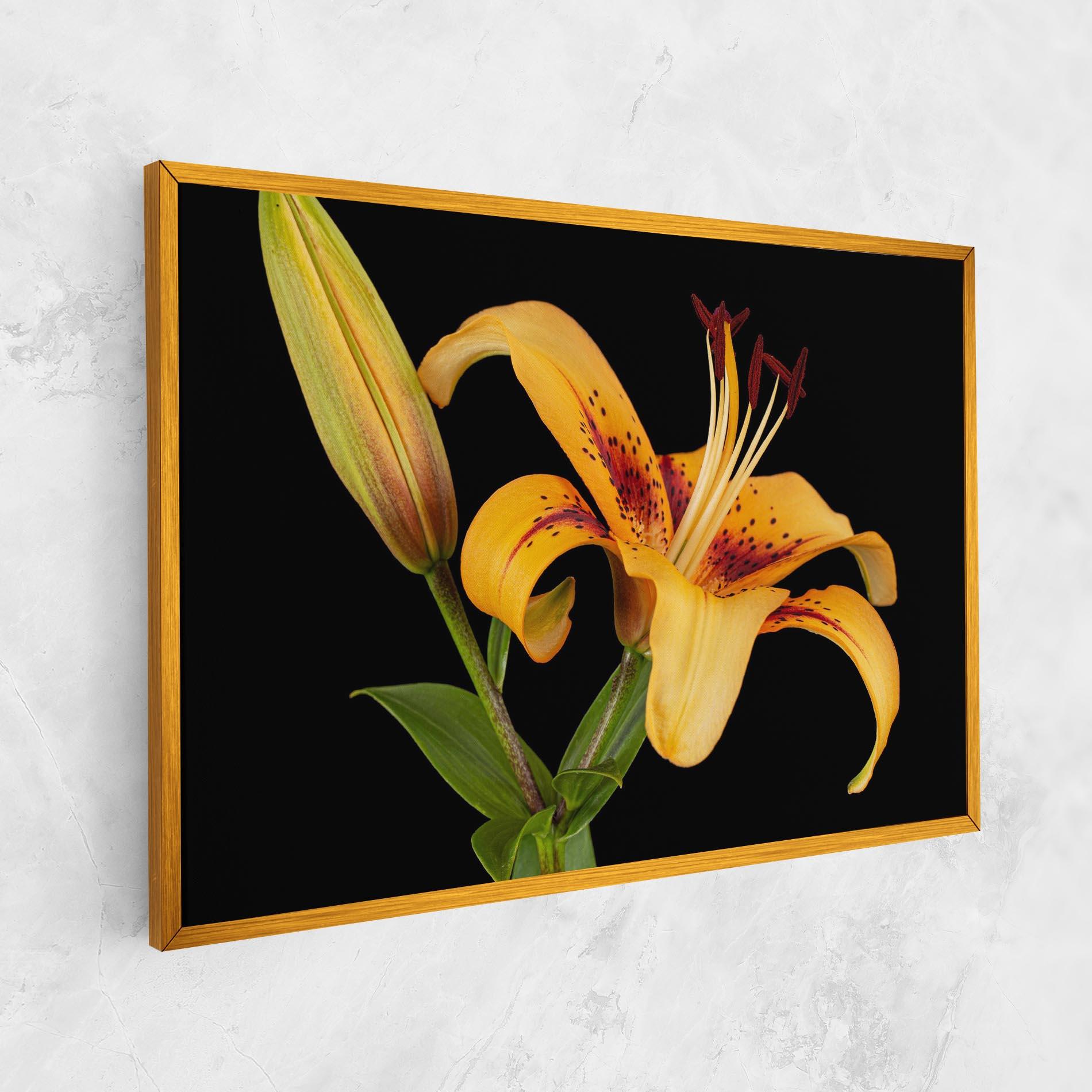 Leinwandbild Beautiful Yellow Lily mockup 1