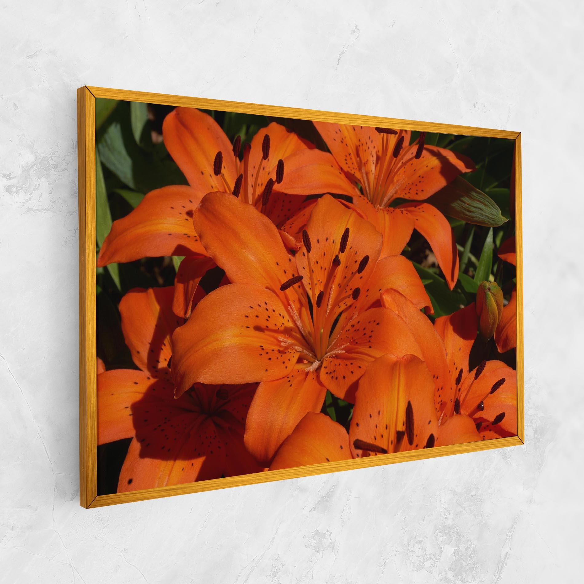 Leinwandbild Orange Lily In The Sun mockup 1