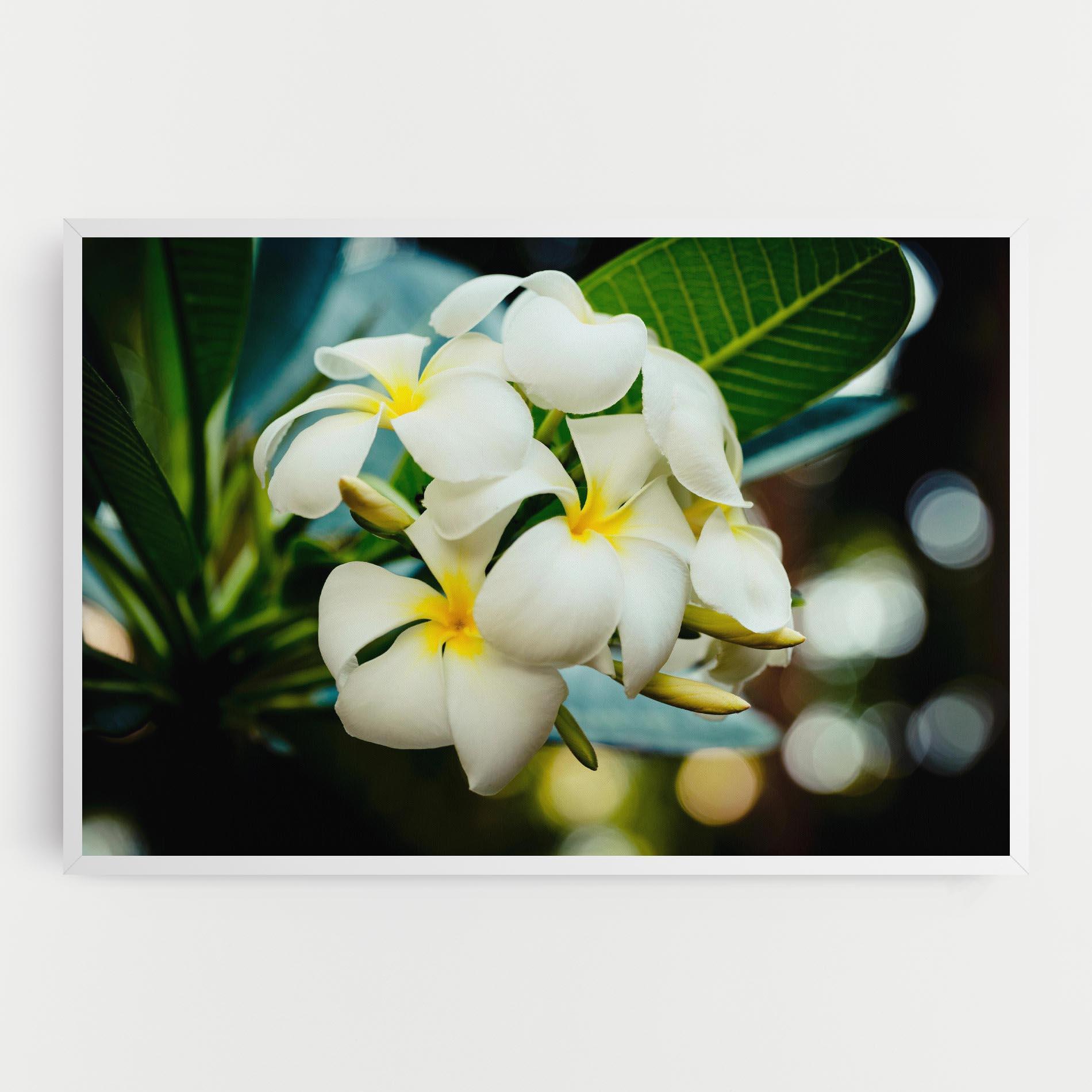 Leinwandbild Beautiful White Exotic mockup 0