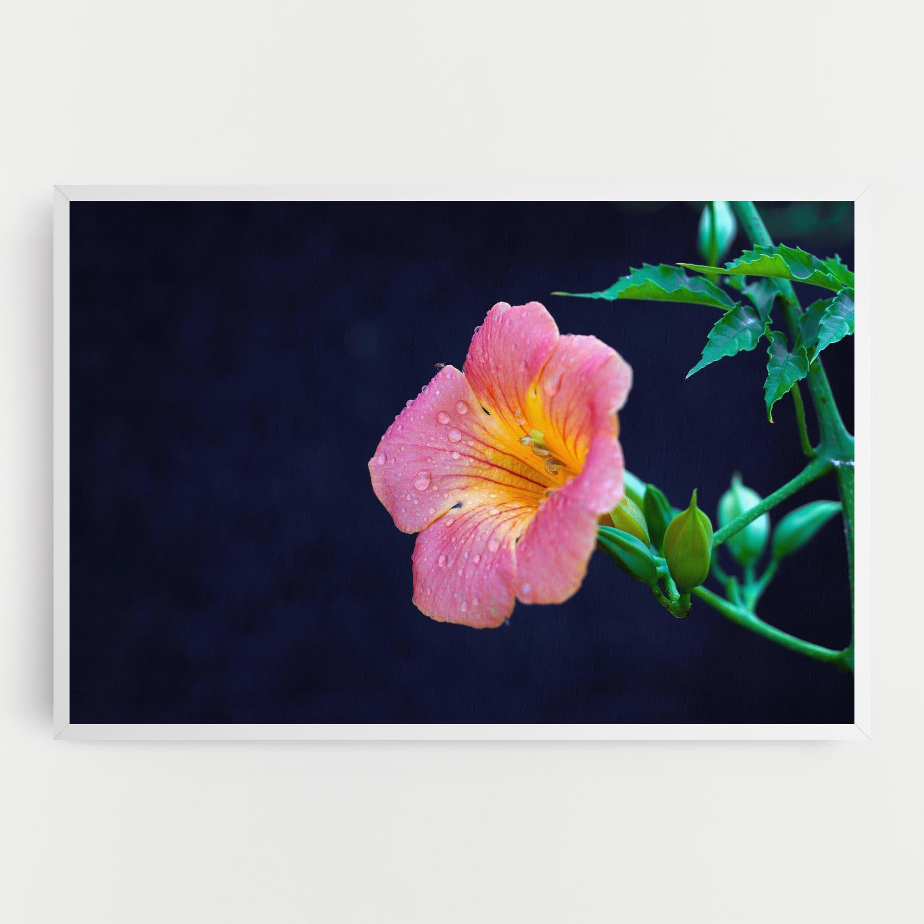 Leinwandbild Exotic Pink Plant mockup 0