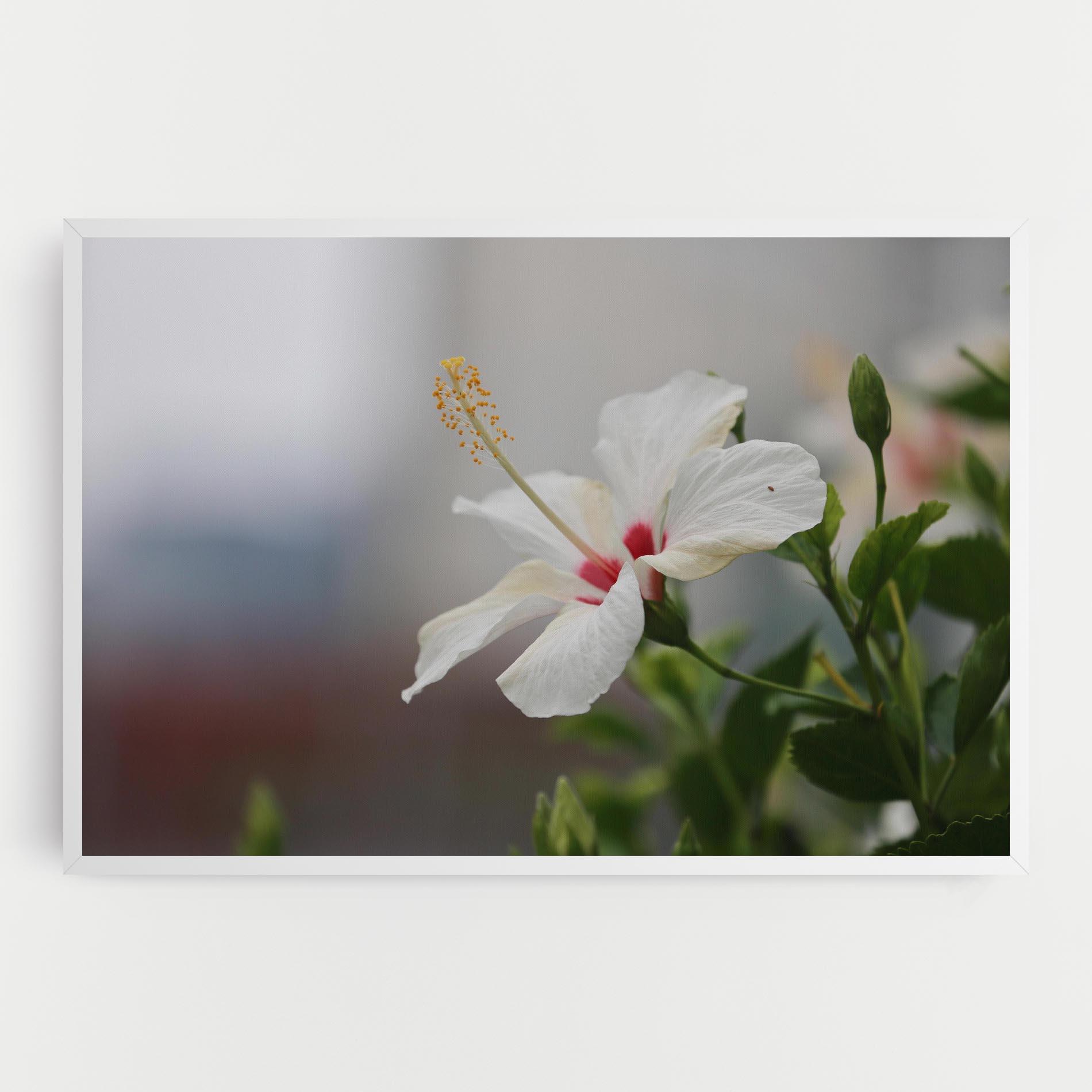 Leinwandbild Exotic White Flower mockup 0