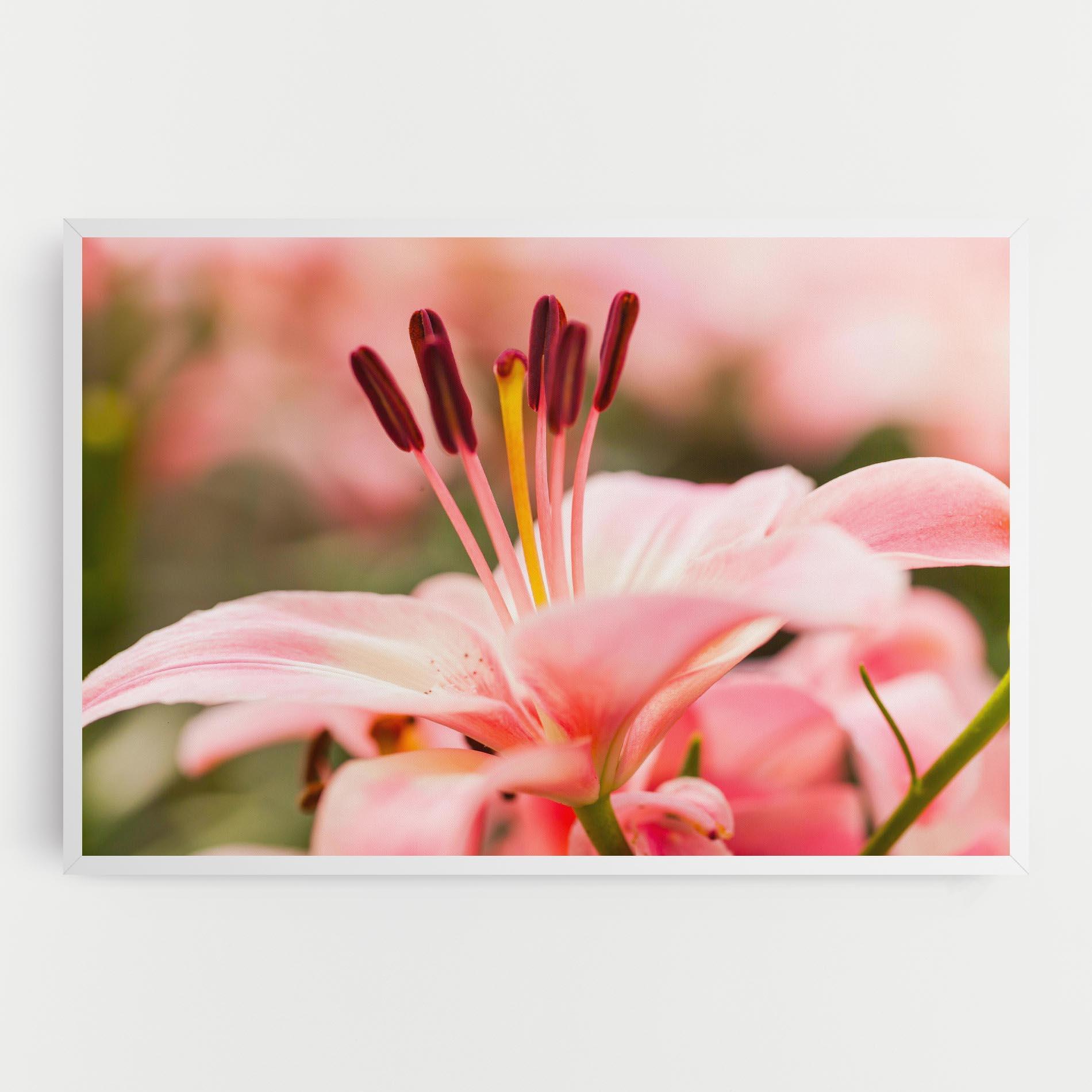 Leinwandbild Flower mockup 0