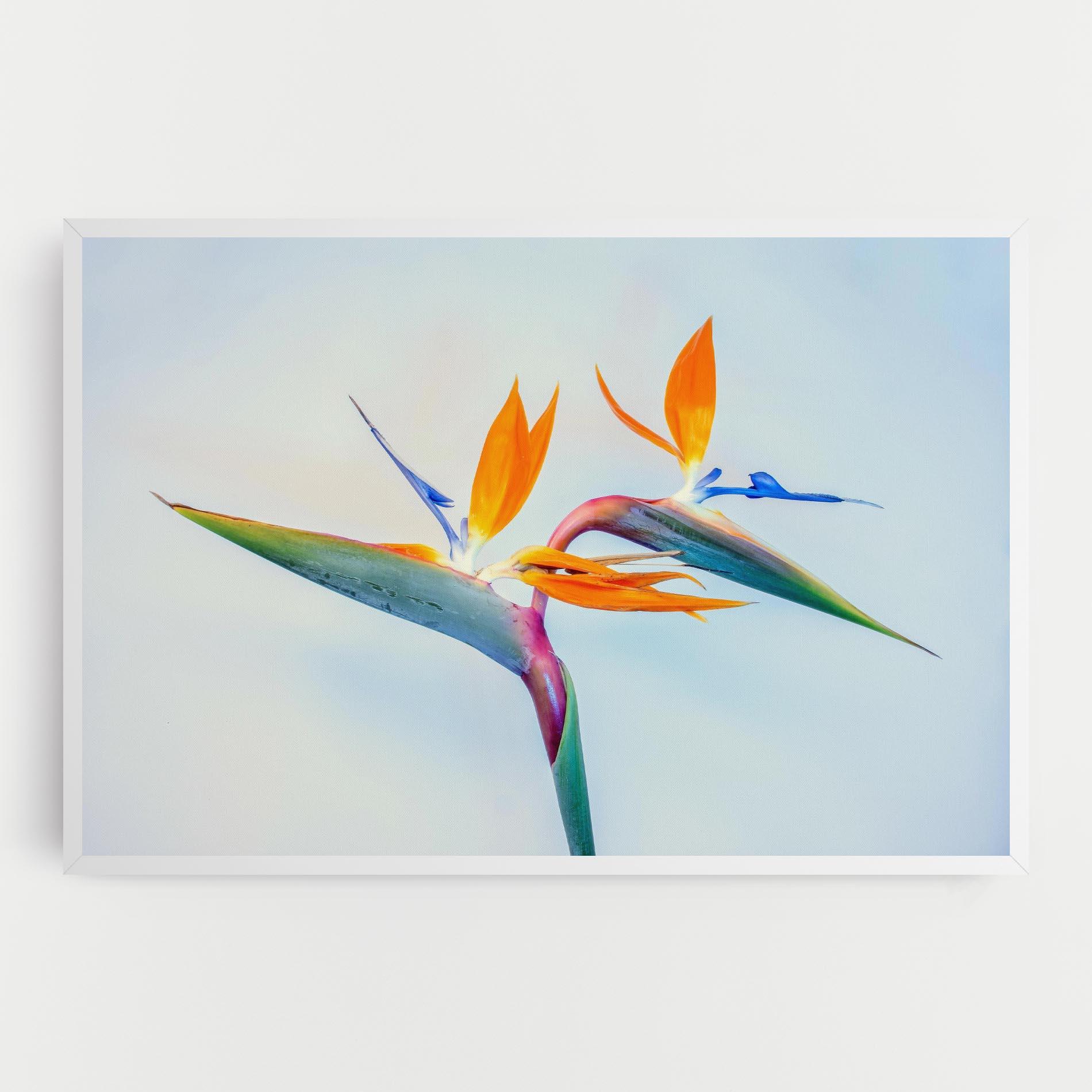 Leinwandbild Green Orange Exotic mockup 0