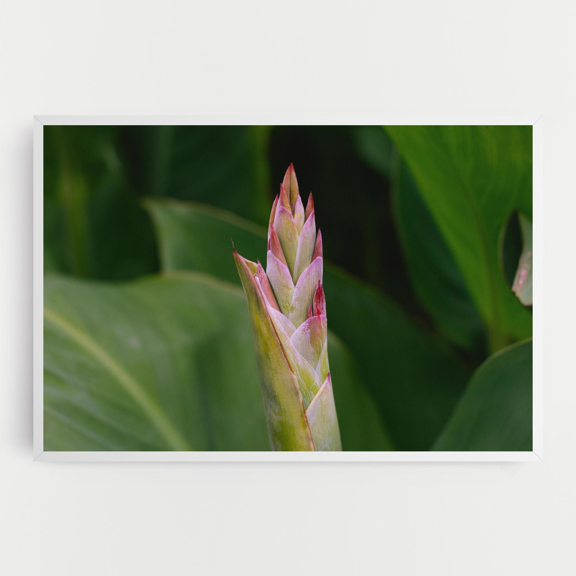 Leinwandbild Light Pink Exotic mockup 0