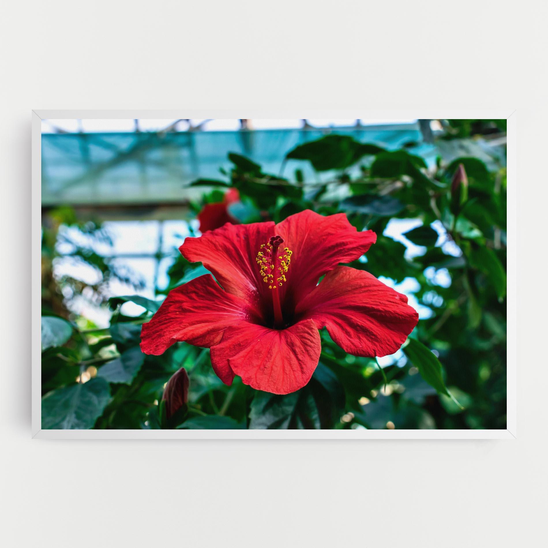 Leinwandbild Red Exotic Plant mockup 0