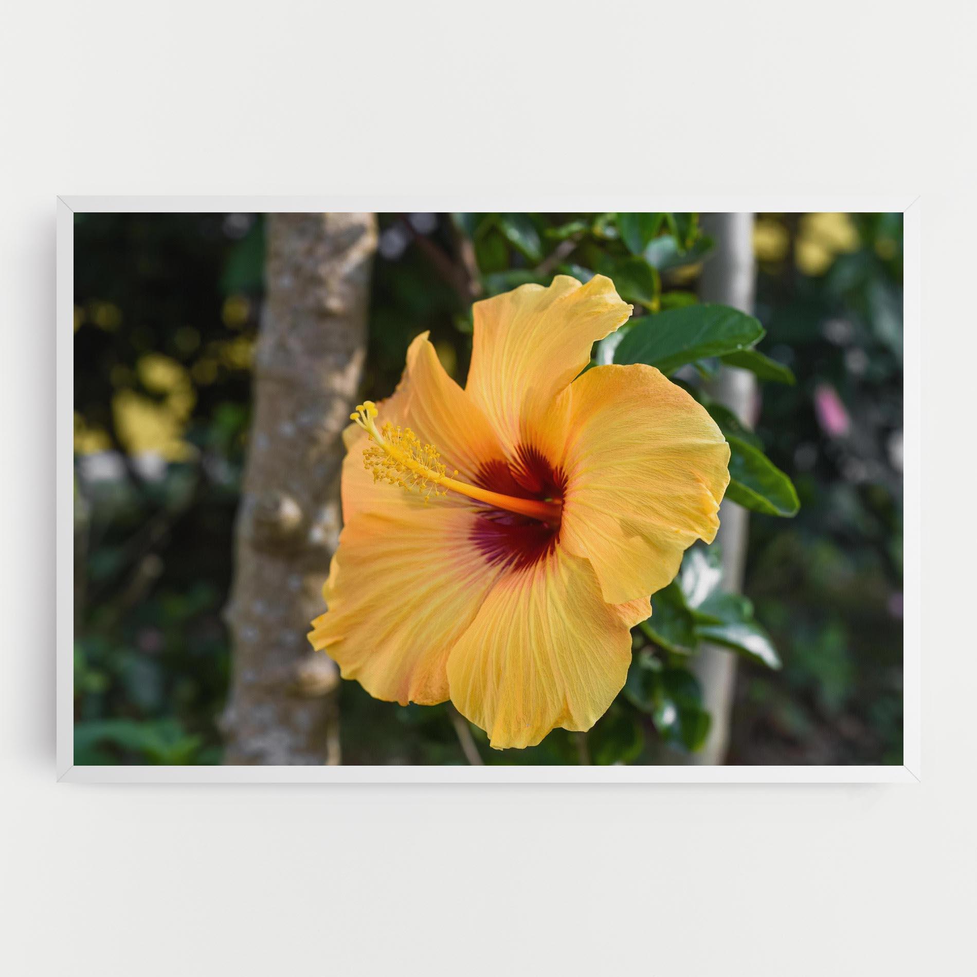 Leinwandbild Yellow Hibiscus mockup 0