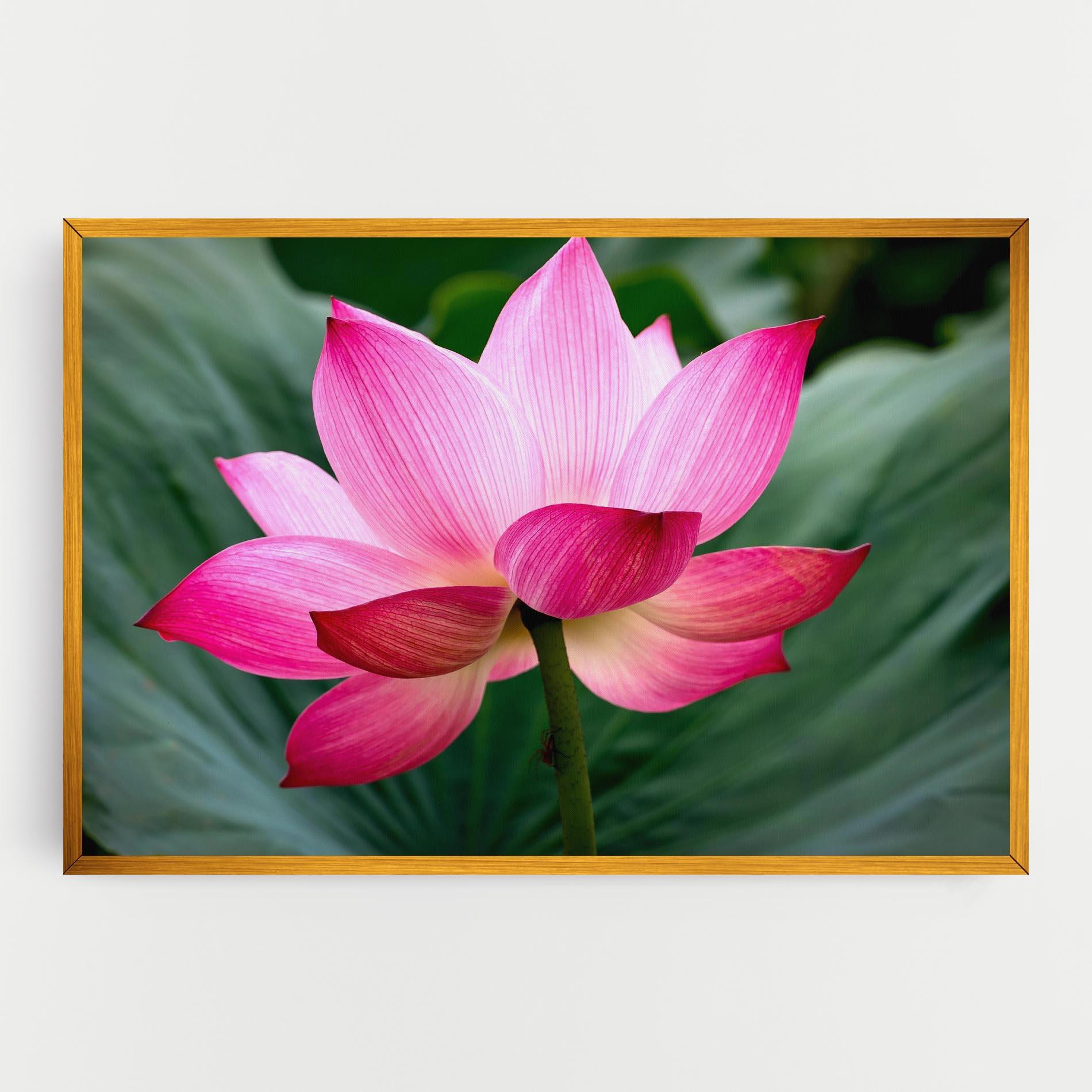 Leinwandbild Beautiful Pink Exotic mockup 0