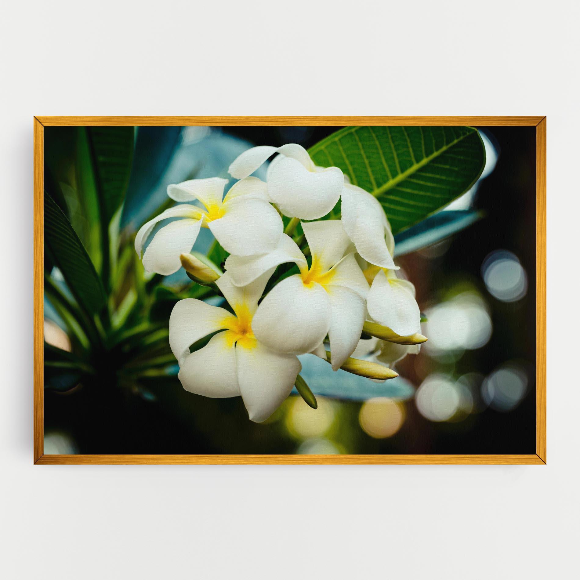 Leinwandbild Beautiful White Exotic mockup 0