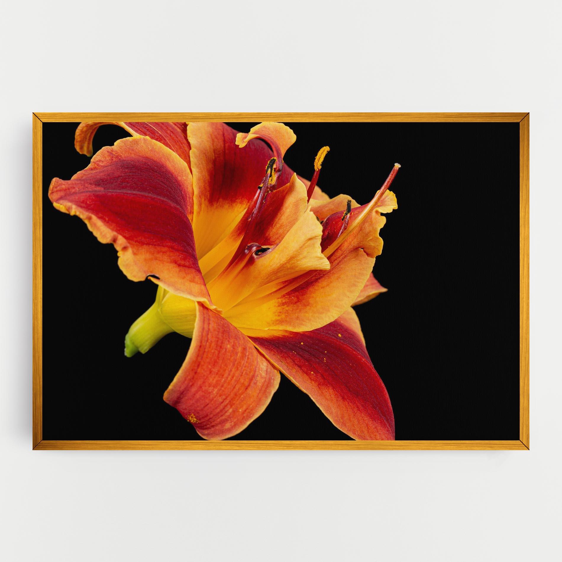 Leinwandbild Exotic Orange Red mockup 0