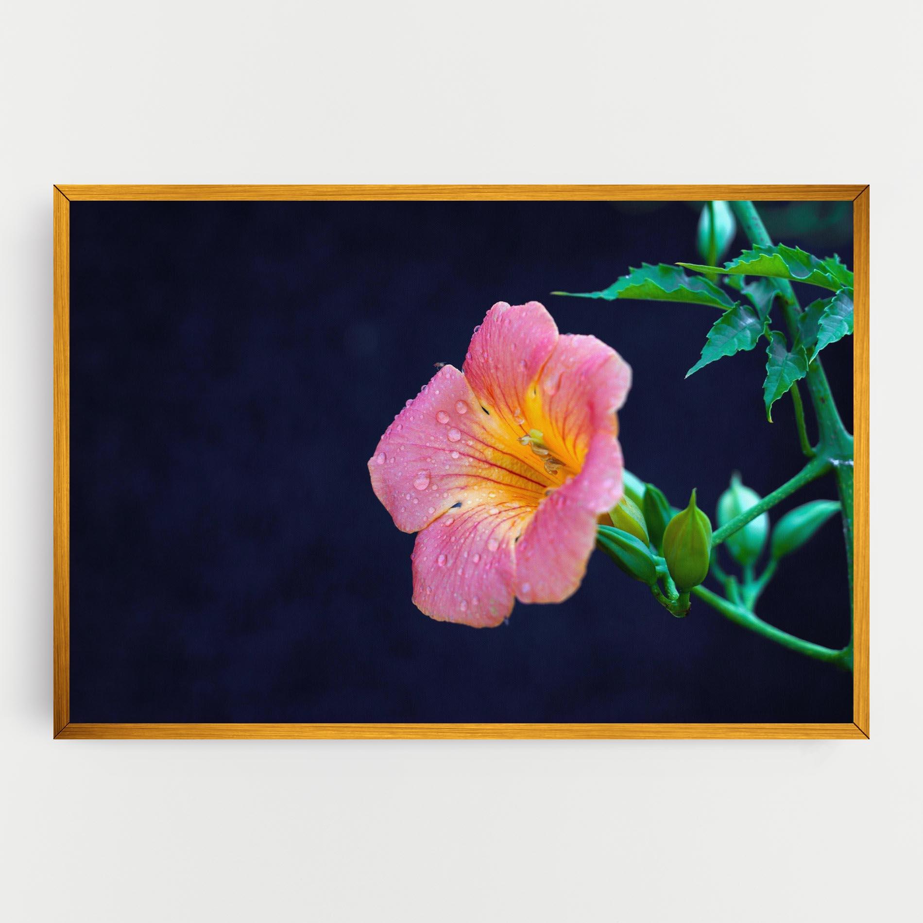 Leinwandbild Exotic Pink Plant mockup 0