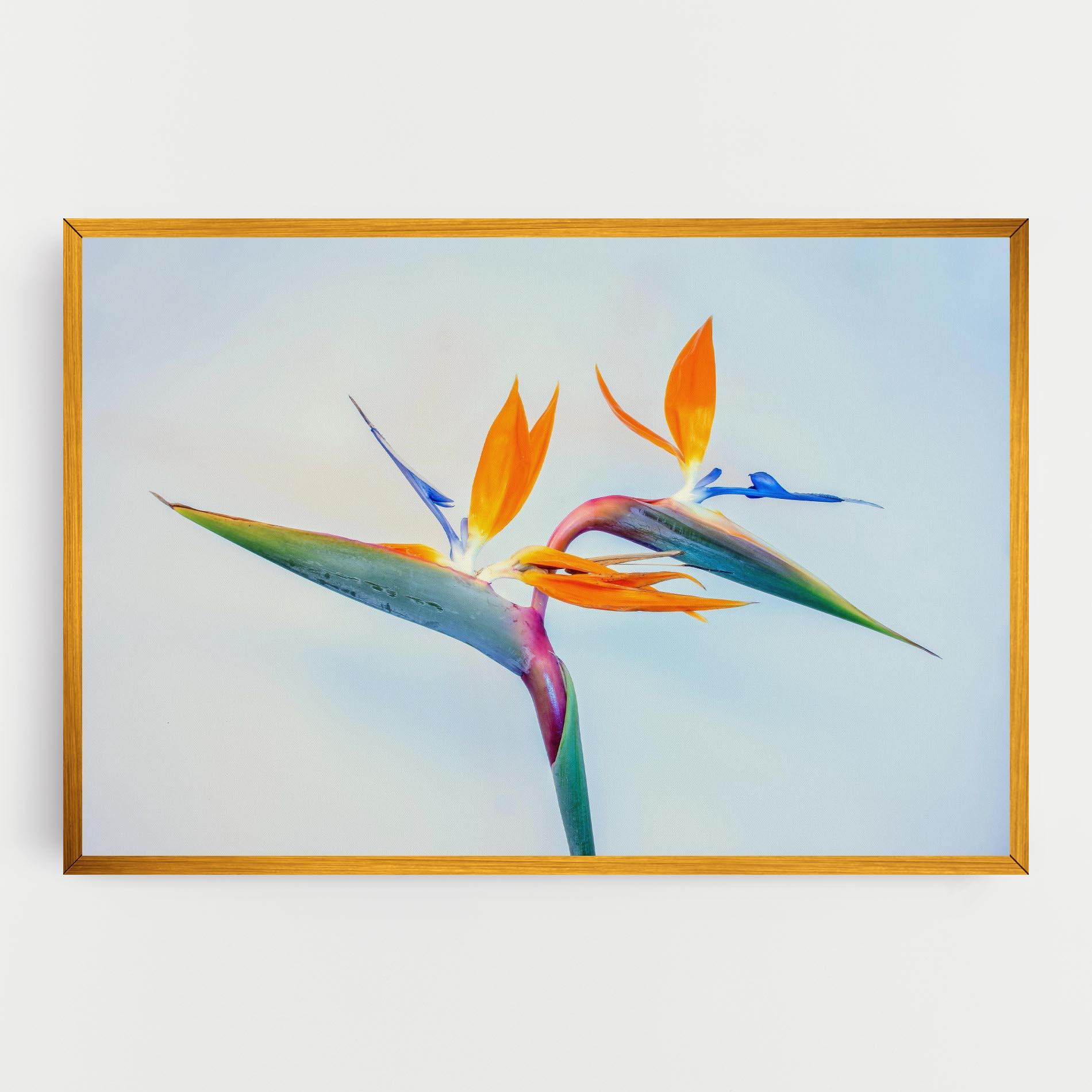 Leinwandbild Green Orange Exotic mockup 0