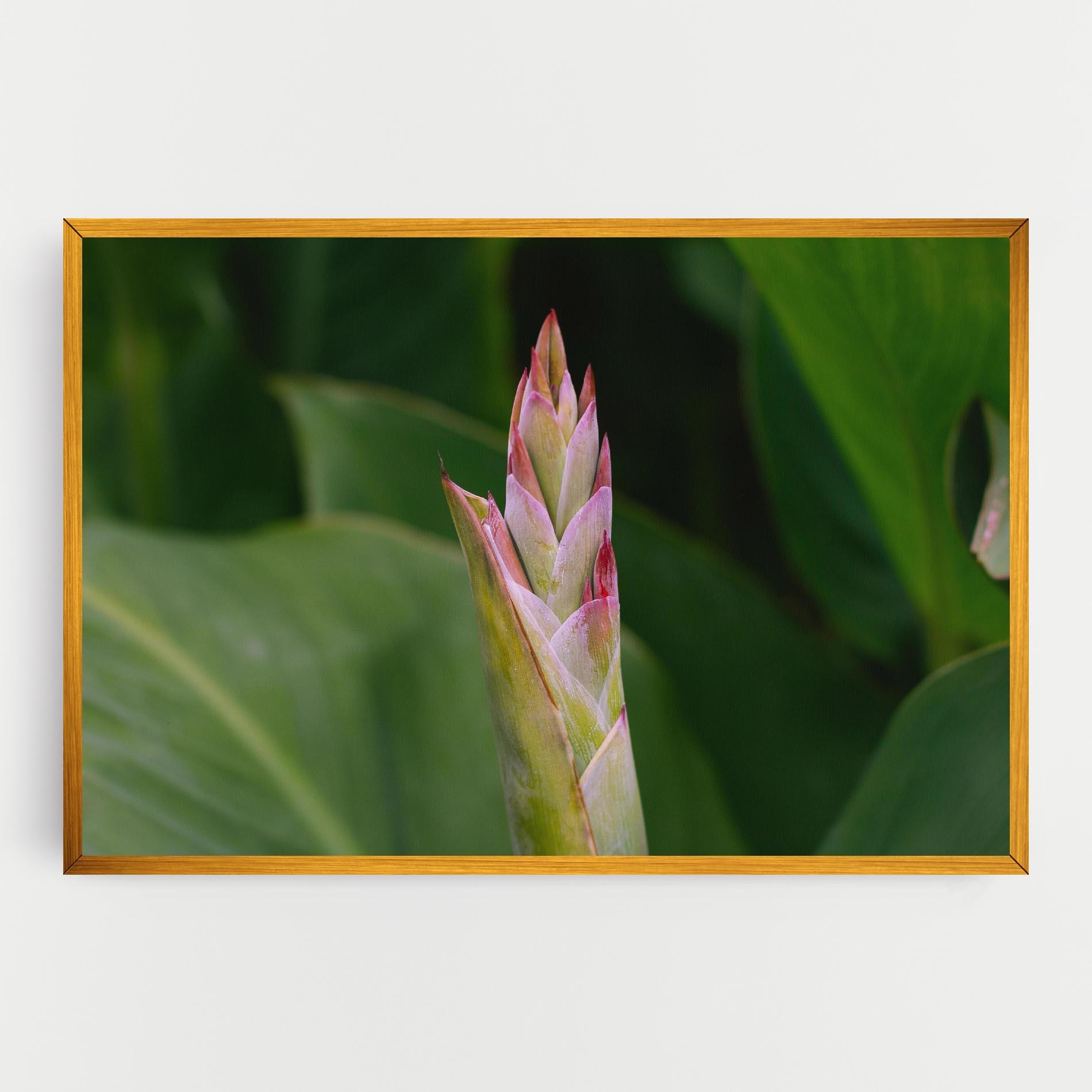 Leinwandbild Light Pink Exotic mockup 0