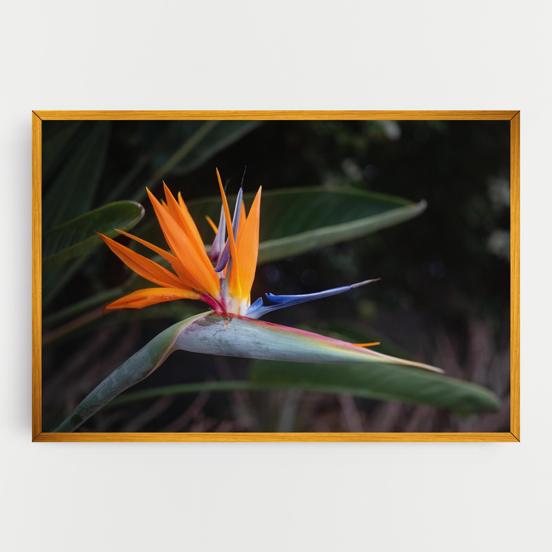 Leinwandbild Paradise Plant mockup 0