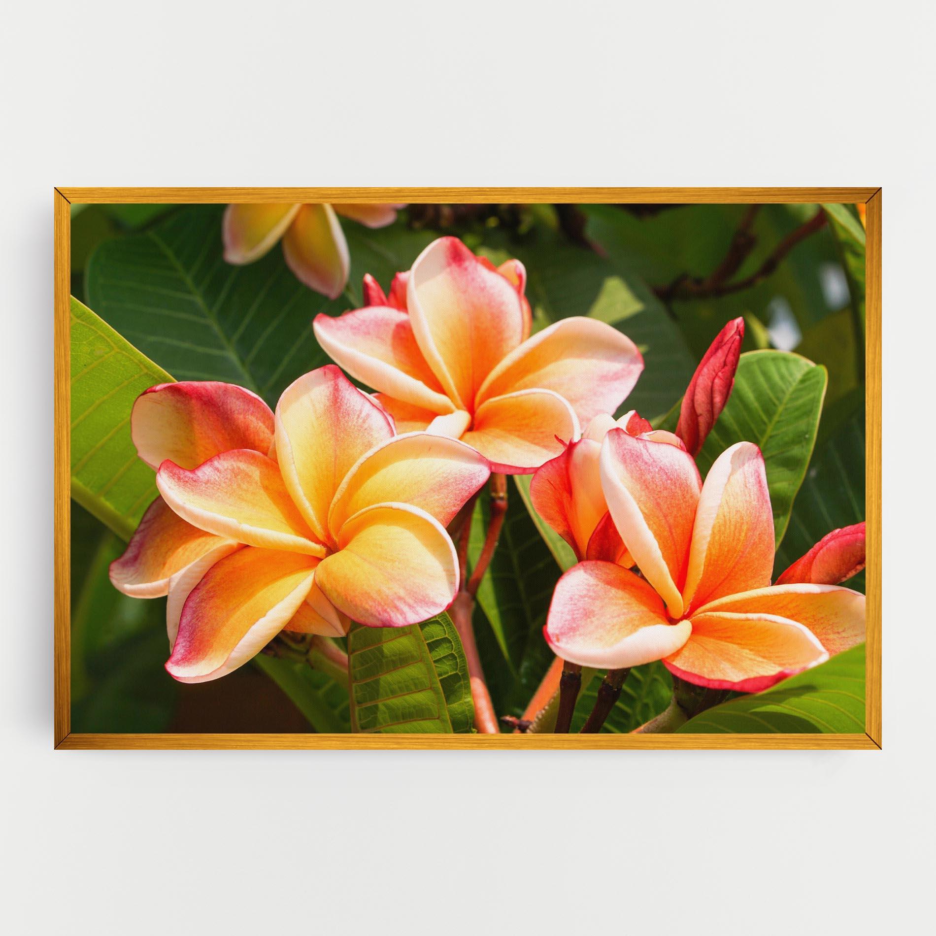 Leinwandbild Pretty Plumeria mockup 0
