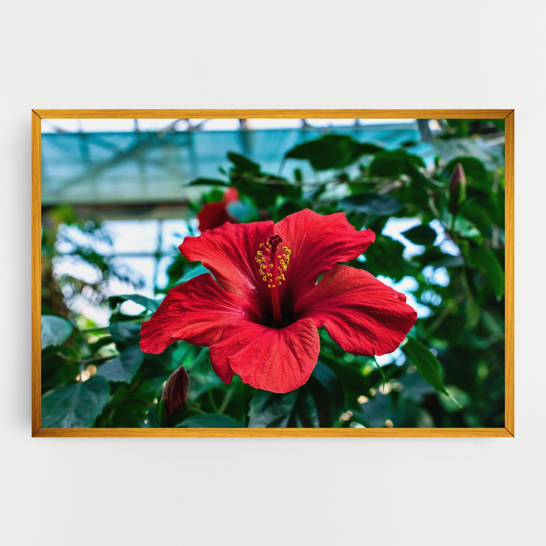 Leinwandbild Red Exotic Plant mockup 0