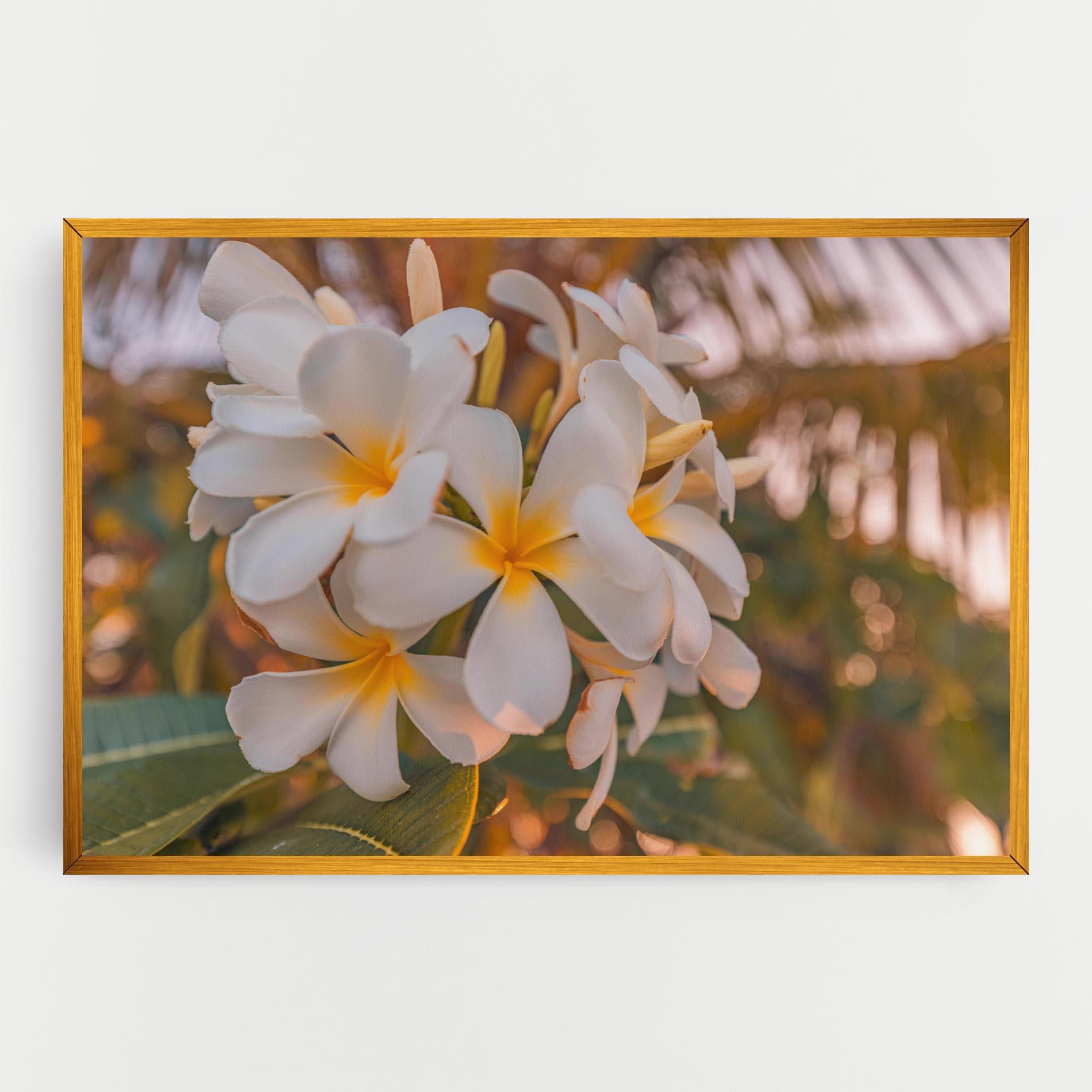 Leinwandbild White Plumeria mockup 0