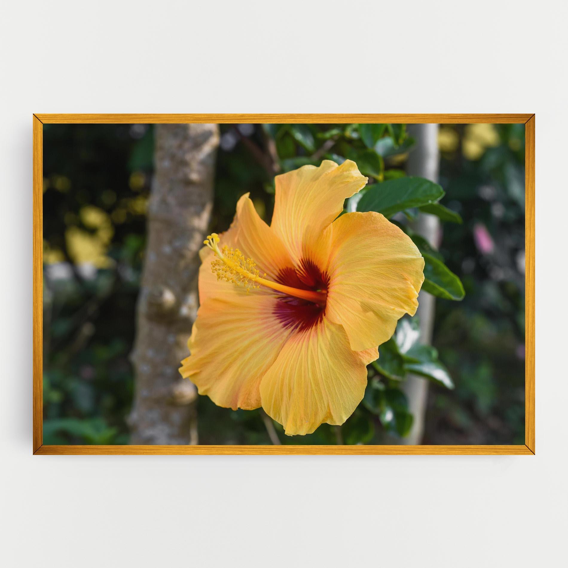 Leinwandbild Yellow Hibiscus mockup 0