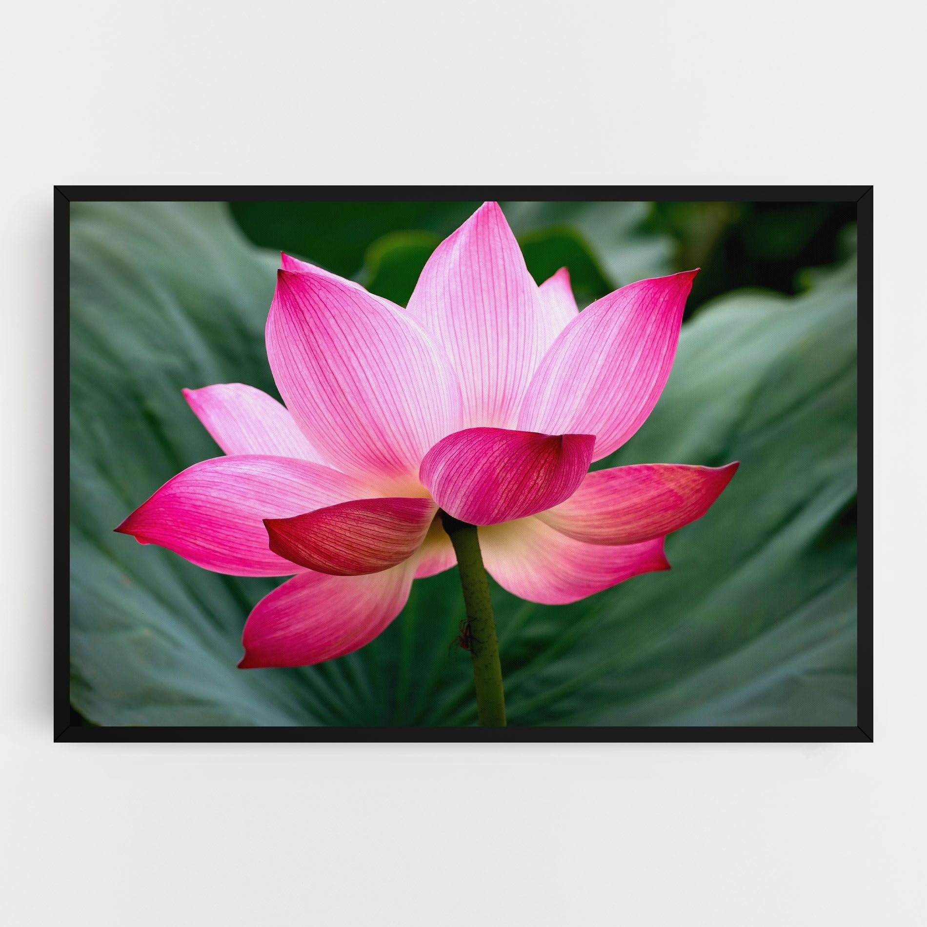 Beautiful Pink Exotic mockup 0