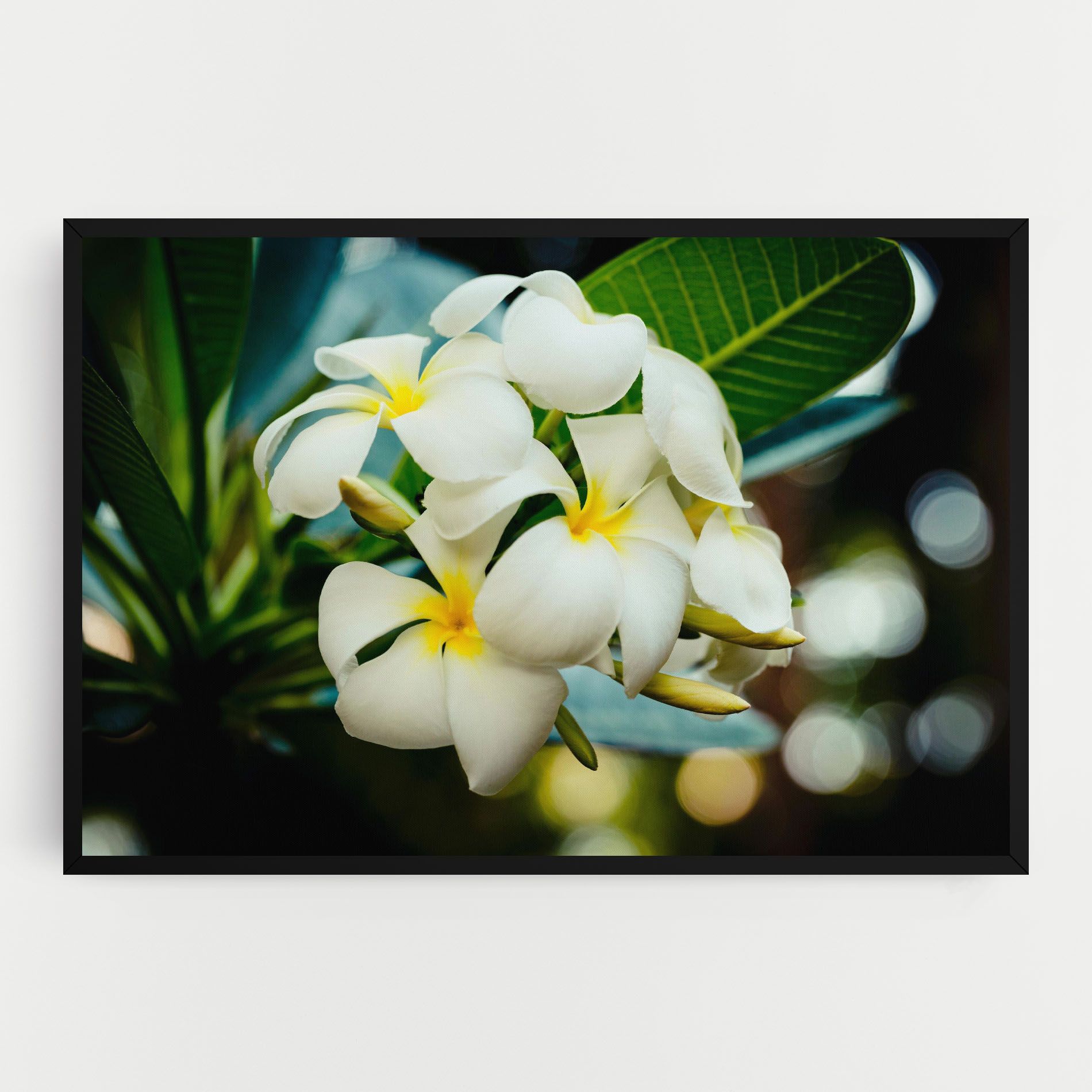 Beautiful White Exotic mockup 0