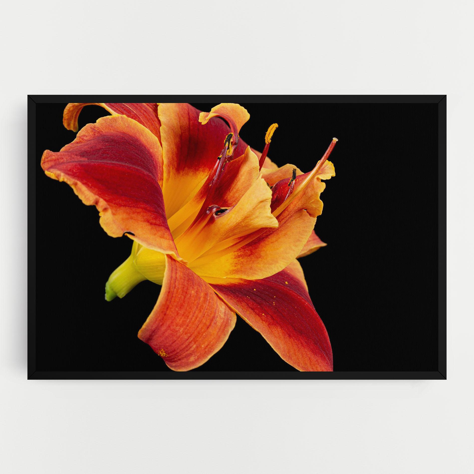 Leinwandbild Exotic Orange Red mockup 0