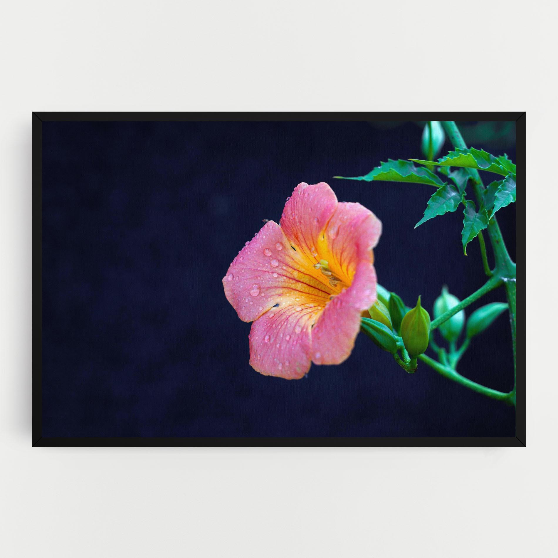 Leinwandbild Exotic Pink Plant mockup 0
