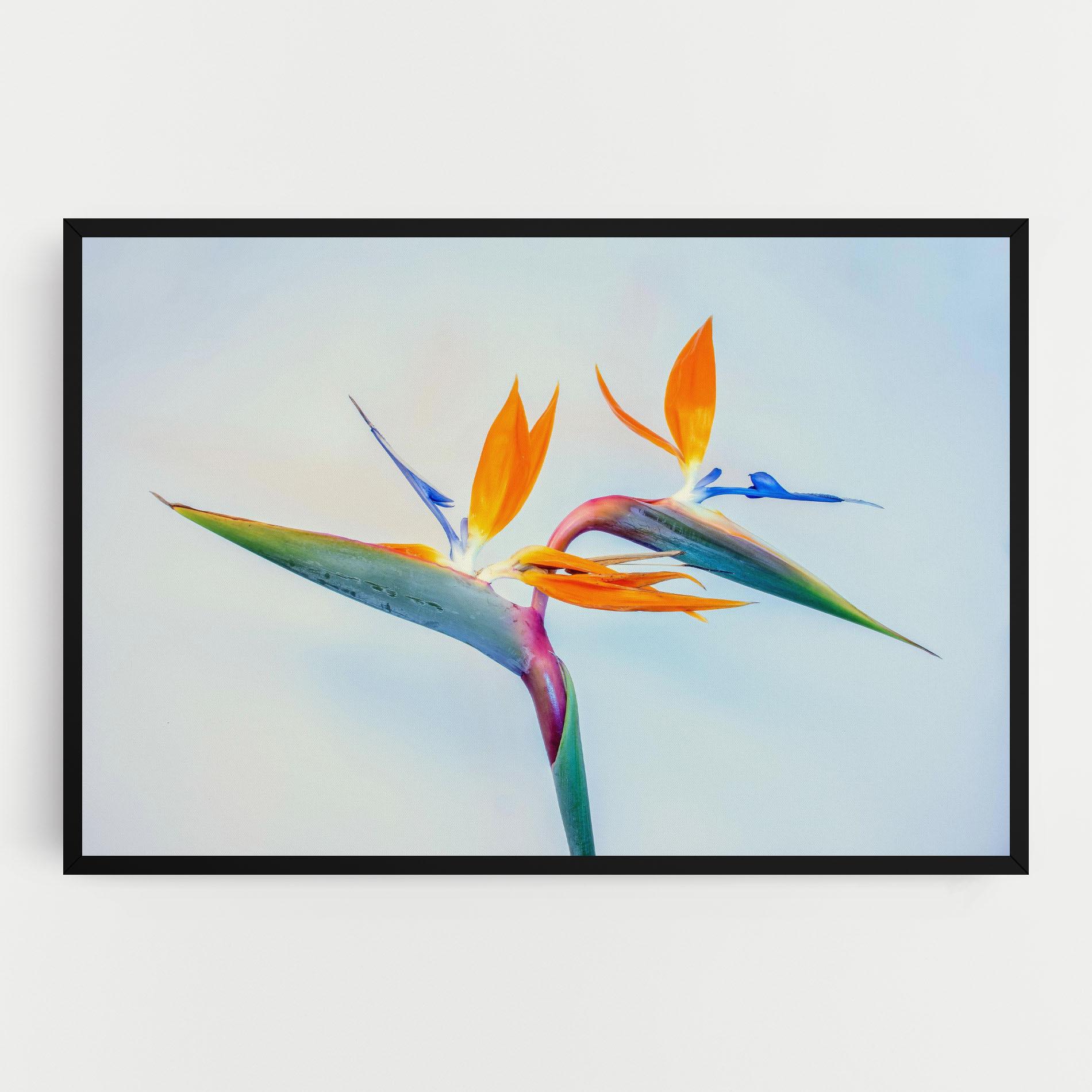 Leinwandbild Green Orange Exotic mockup 0